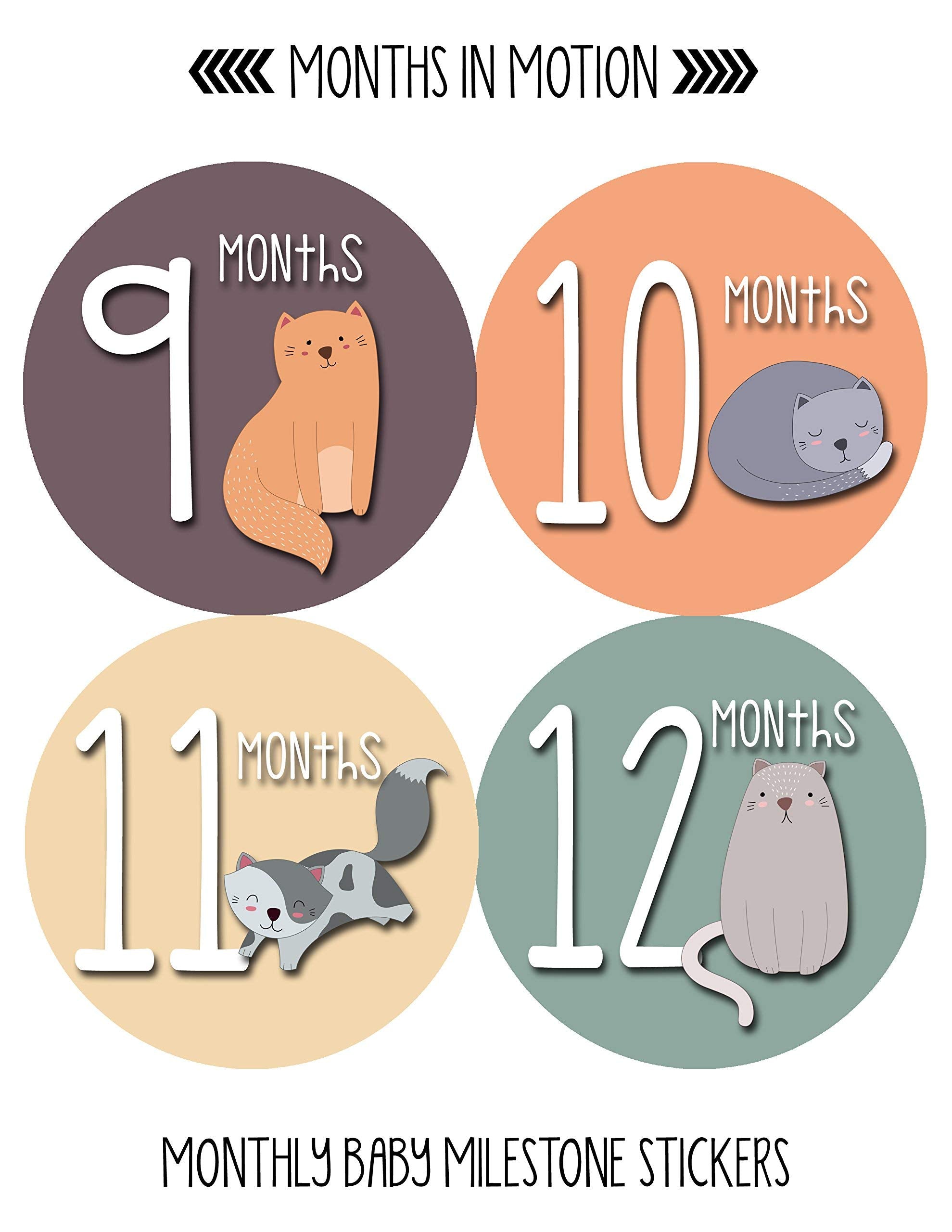Months In Motion Baby Monthly Stickers   Baby Milestone Stickers   Newborn Girl Stickers   Month Stickers For Baby Girl   Baby G