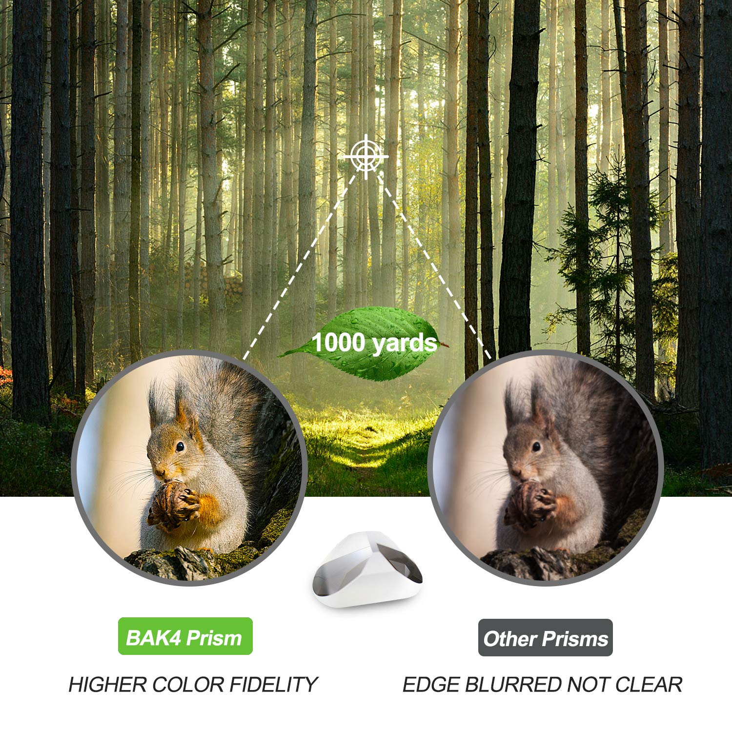 10 X 50 Binoculars For Adults, Powerful Binoculars For Bird Watching, Multi Coated Optics Durable Full Size Clear Binocular For Travel Sightseeing Outdoor Sports Games And Concerts
