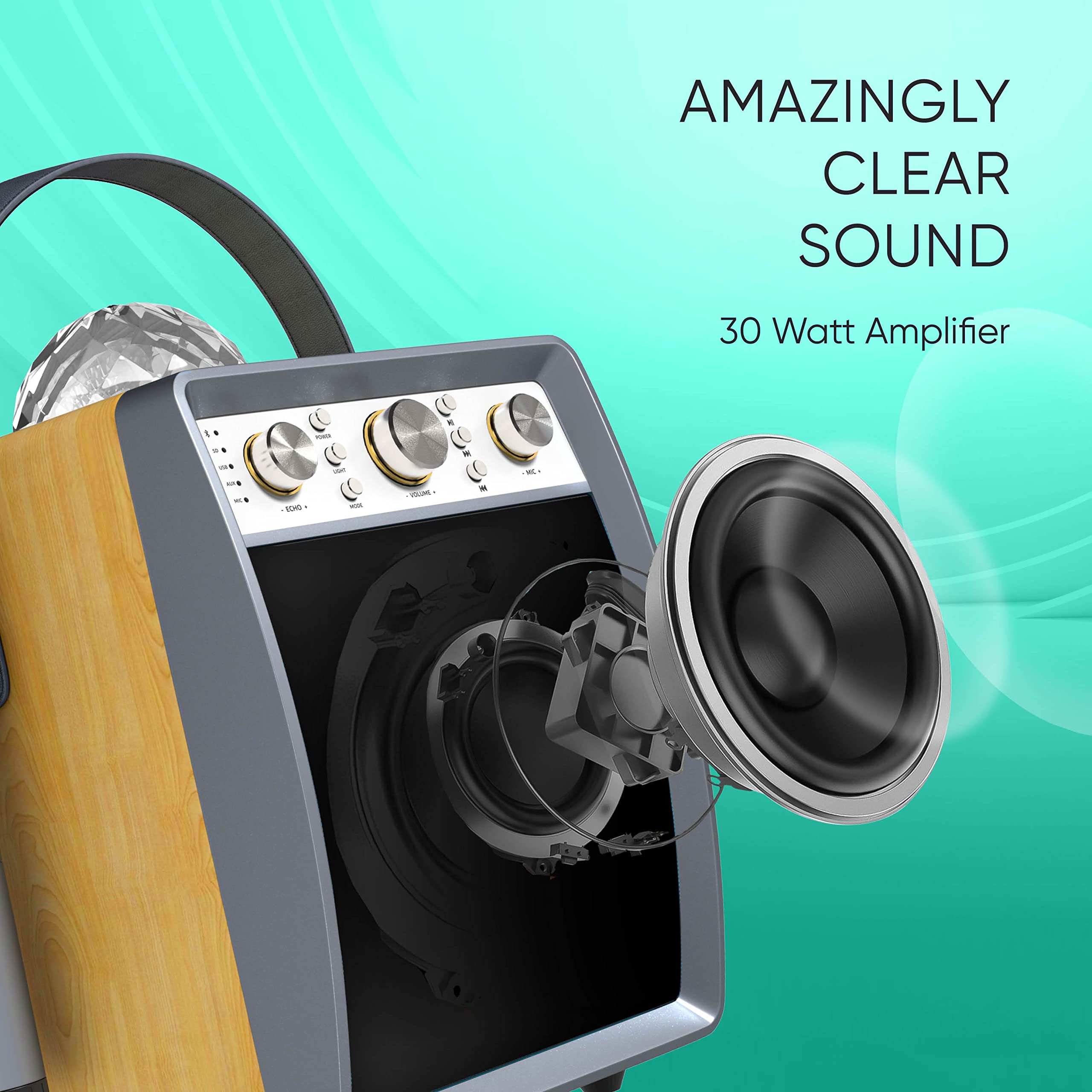 Masingo Karaoke Machine For Adults And Kids With 2 Wireless Microphones, Portable Singing Pa Speaker System Set With Disco Ball