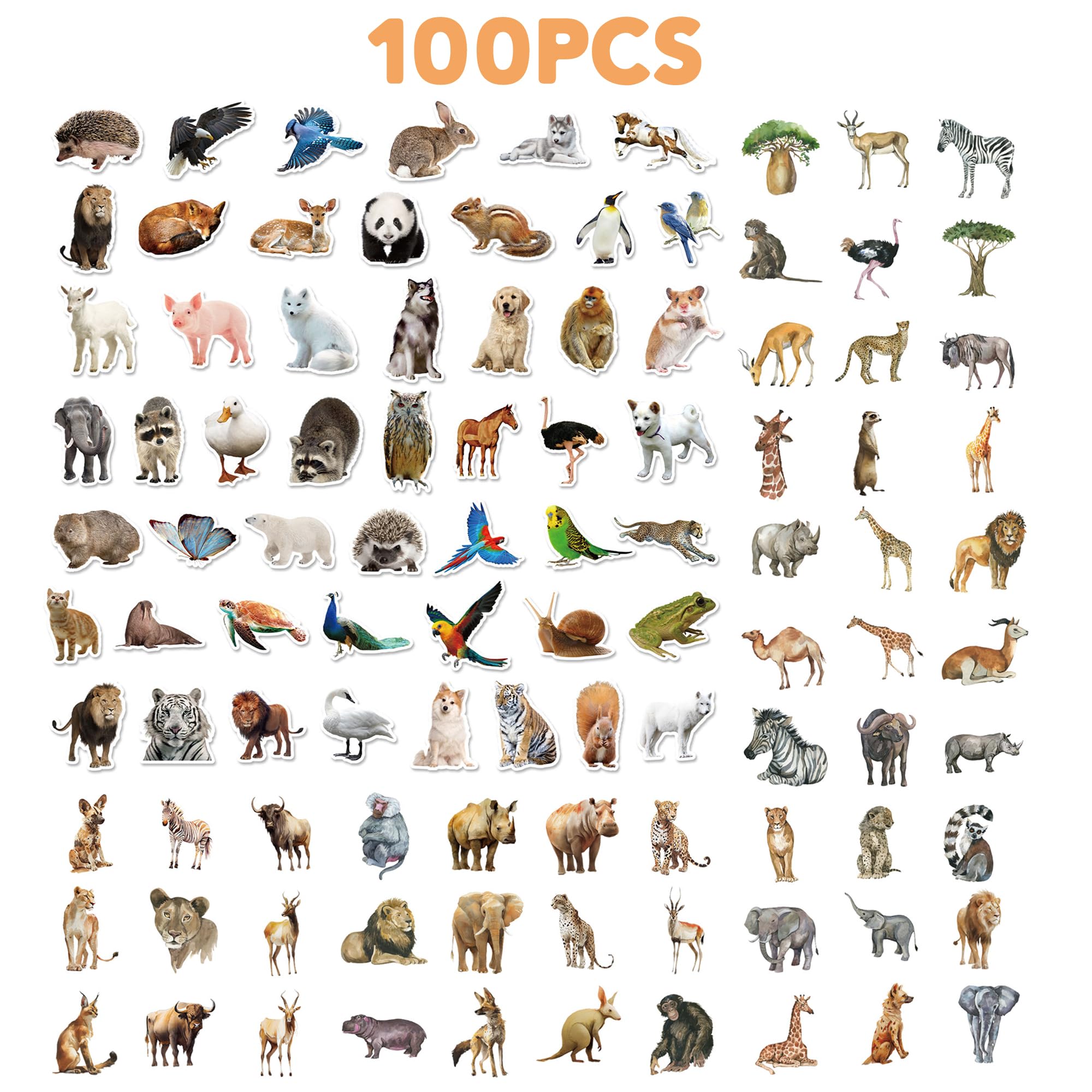 100 Pcs Jungle Animal Stickers Safari Zoo Animal Wild One Stickers For Laptop Water Bottle Computer Refrigerator Luggage Phone C