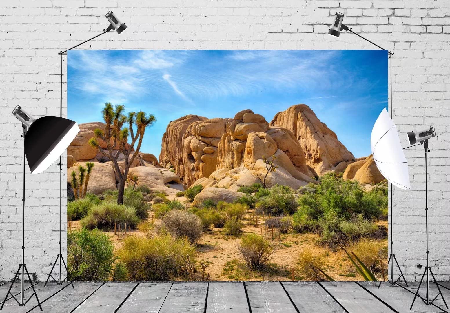 Beleco 9X6Ft Fabric Desert Backdrop Joshua Tree National Park Photography Backdrop Odd Trees Rocky Mountains Natural Scenery Hol