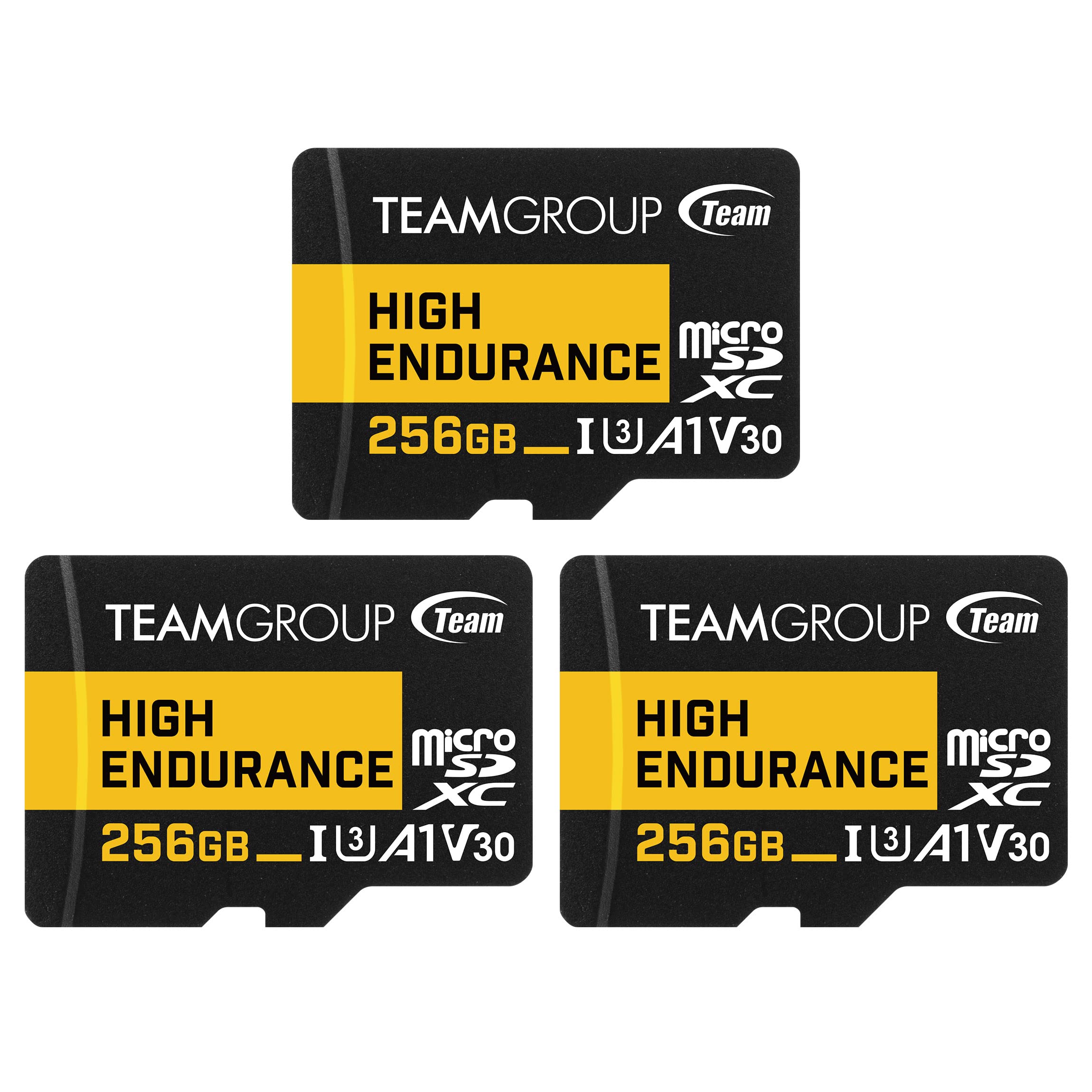 TEAMGROUP High Endurance Micro SDXC Card - Thumbnail 5