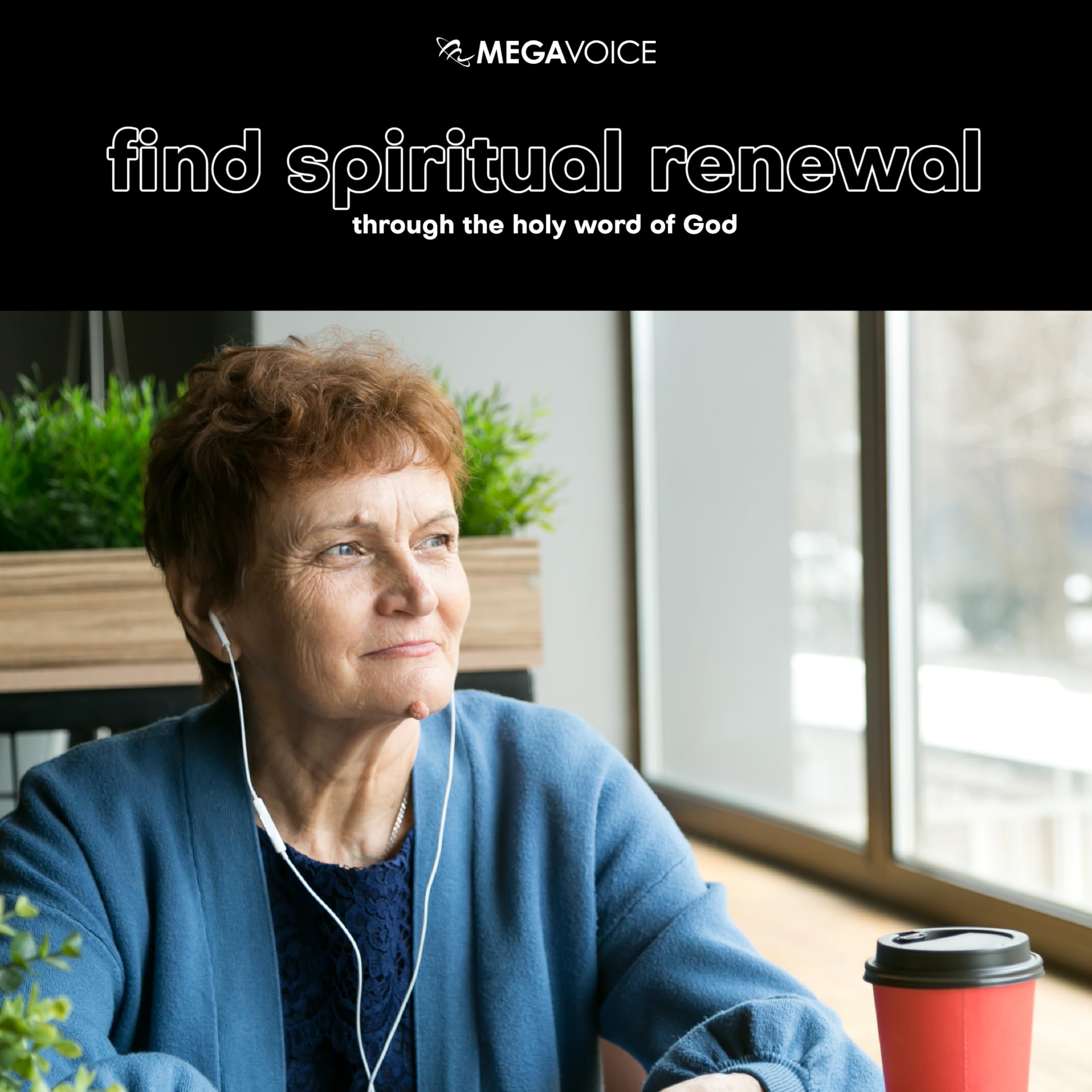 King James Version (Kjv) Audio Bible Narrated By Paul Mims On The Envoy 2S Handheld Solar Player By Megavoice