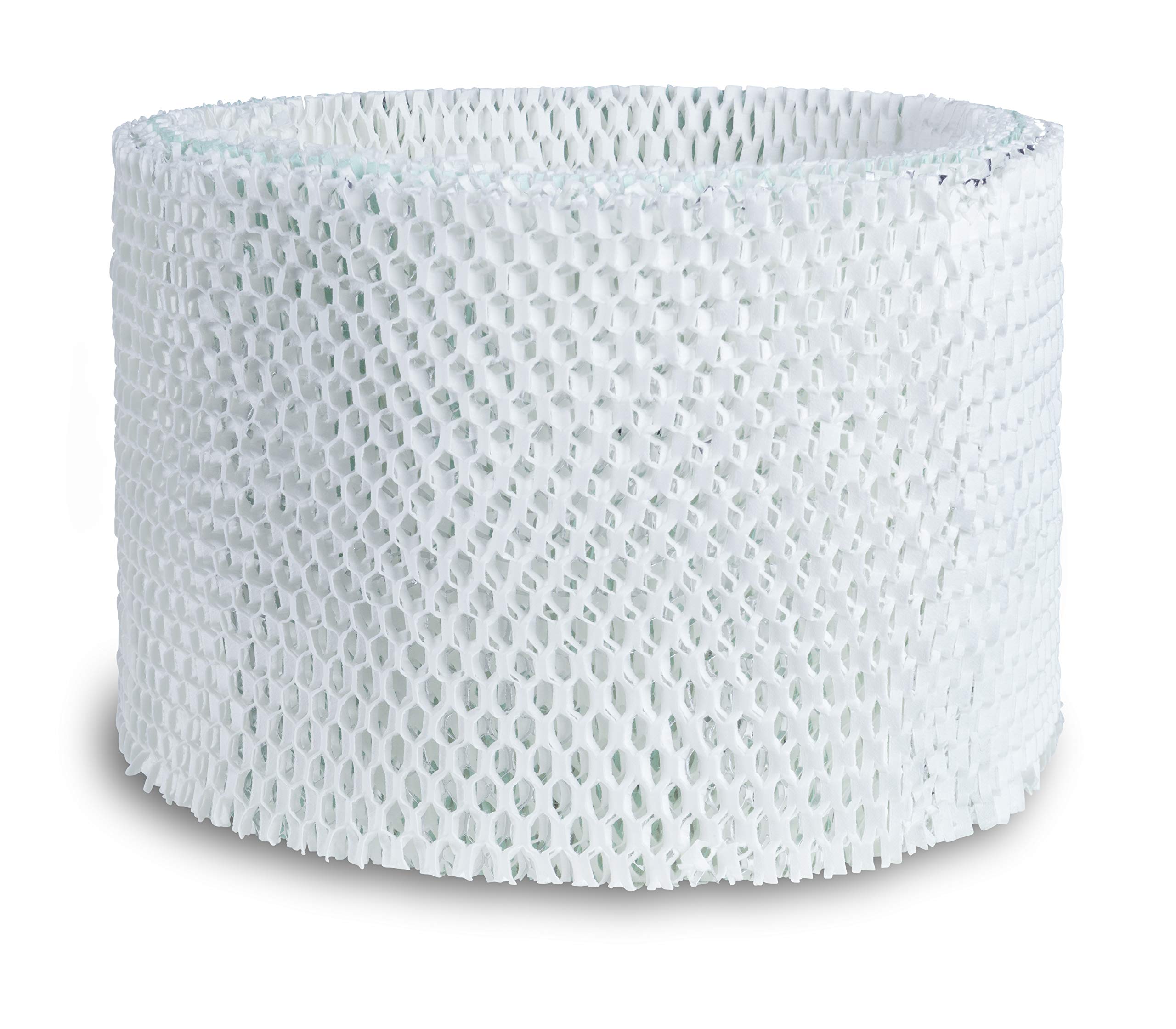 Rps #H75 C Expanded Wick Filter