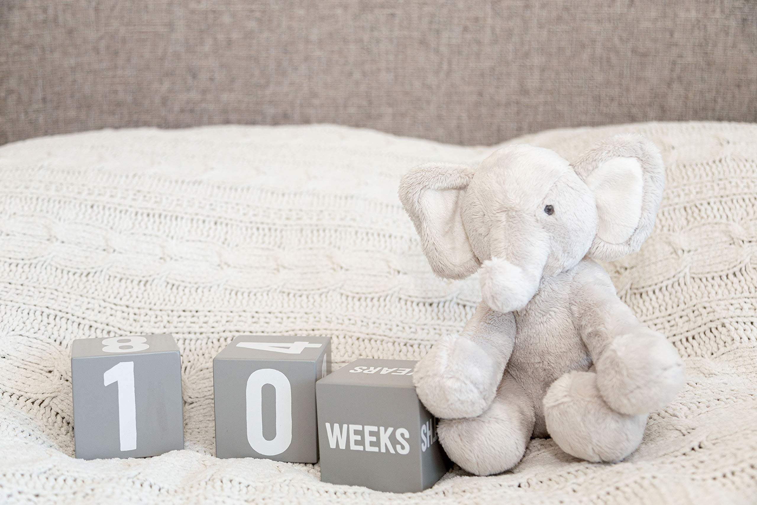 Little Pear Baby Keepsake Milestone Blocks, Growth Marker Blocks, Baby Age Photo Prop, Gray & White, Wooden
