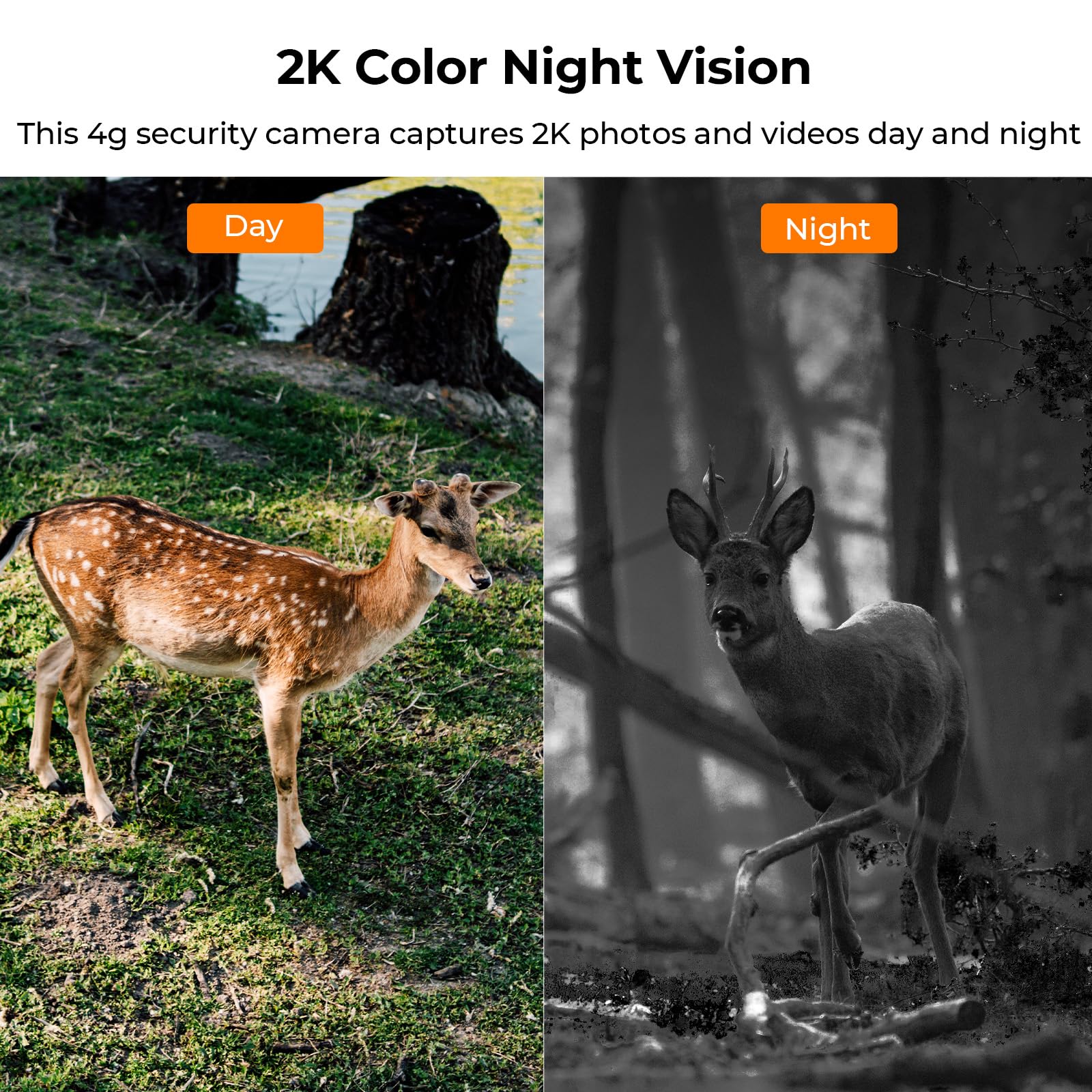 K&F Concept 3G/4G Lte Cellular Security Camera With Sd&Sim Card (Verizon/At&T/T Mobile), No Wifi Needed, Solar Powered, 2K Live Video, 360� Ptz, Color Night Vision, 2 Way Talk, Motion&Siren Alert