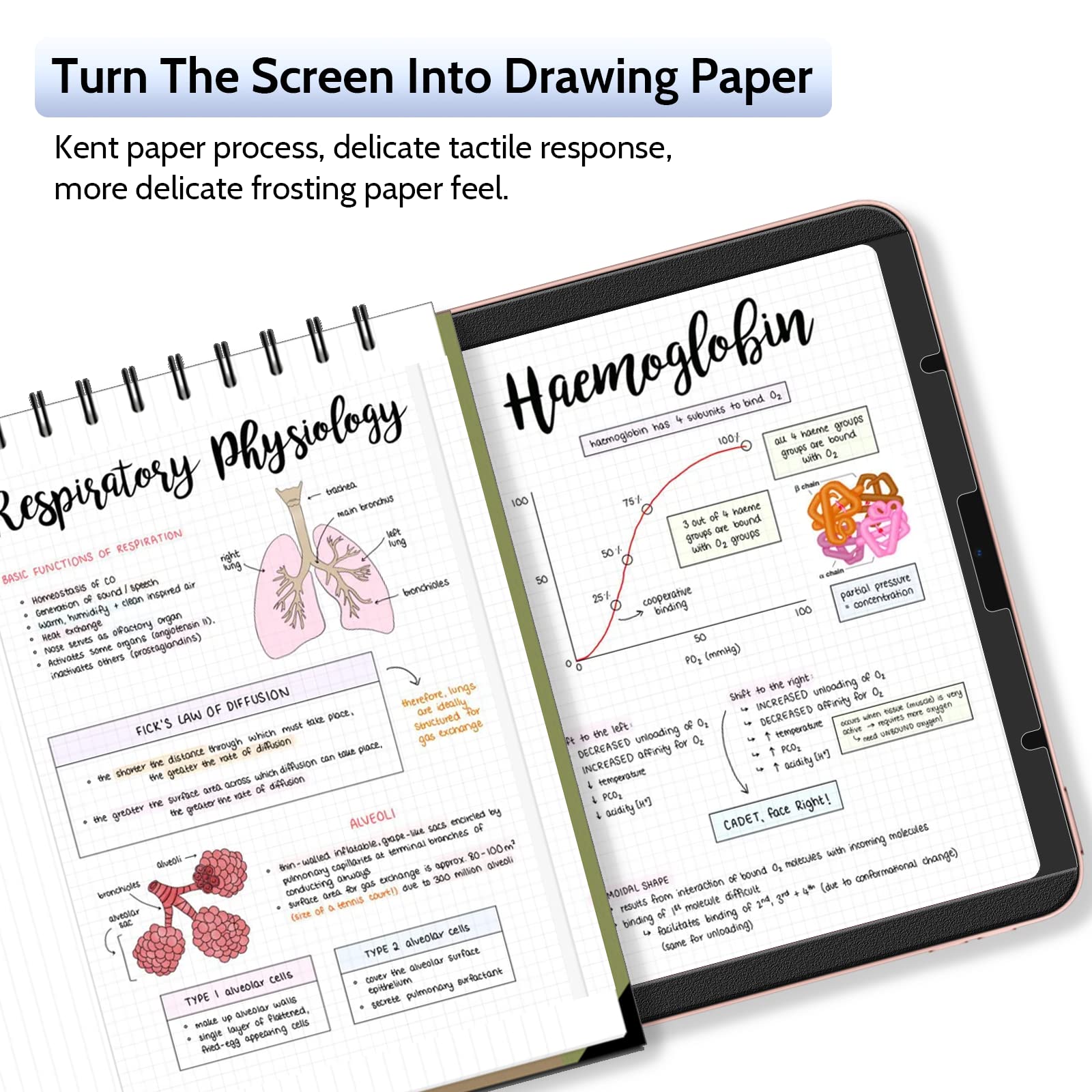 2 Pack Magnetic Screen Protector For Ipad Air 5Th 4Th & Ipad Pro 11''(2018 2022) Feel Like Writing Drawing On Paper, Removable M