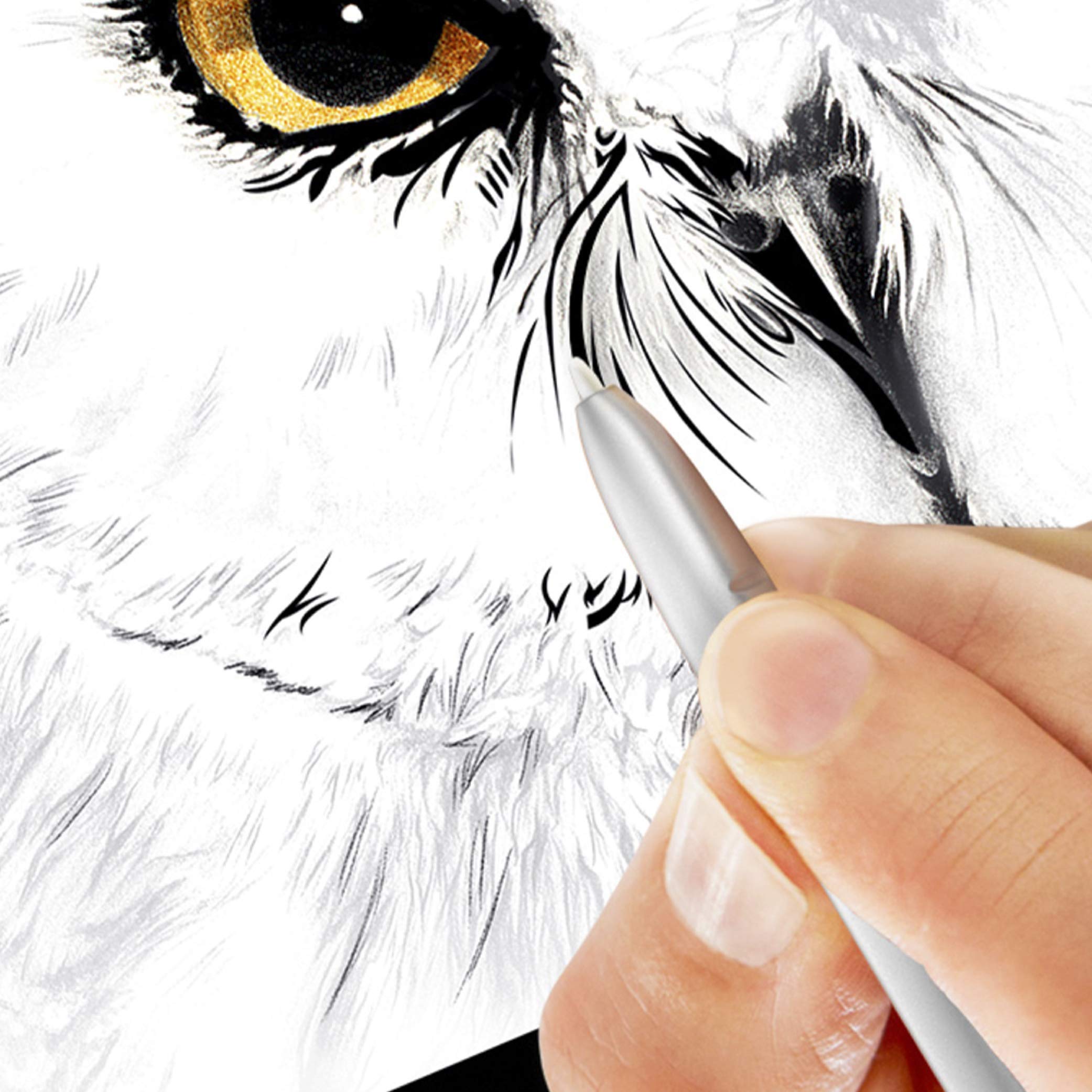 Samsung Chromebook Plus V2 2 In 1 Laptop  4Gb Ram, 64Gb Emmc, 13Mp Camera, Chrome Os, 12.2'', 16:10 Aspect Ratio  Xe520Qab K03Us