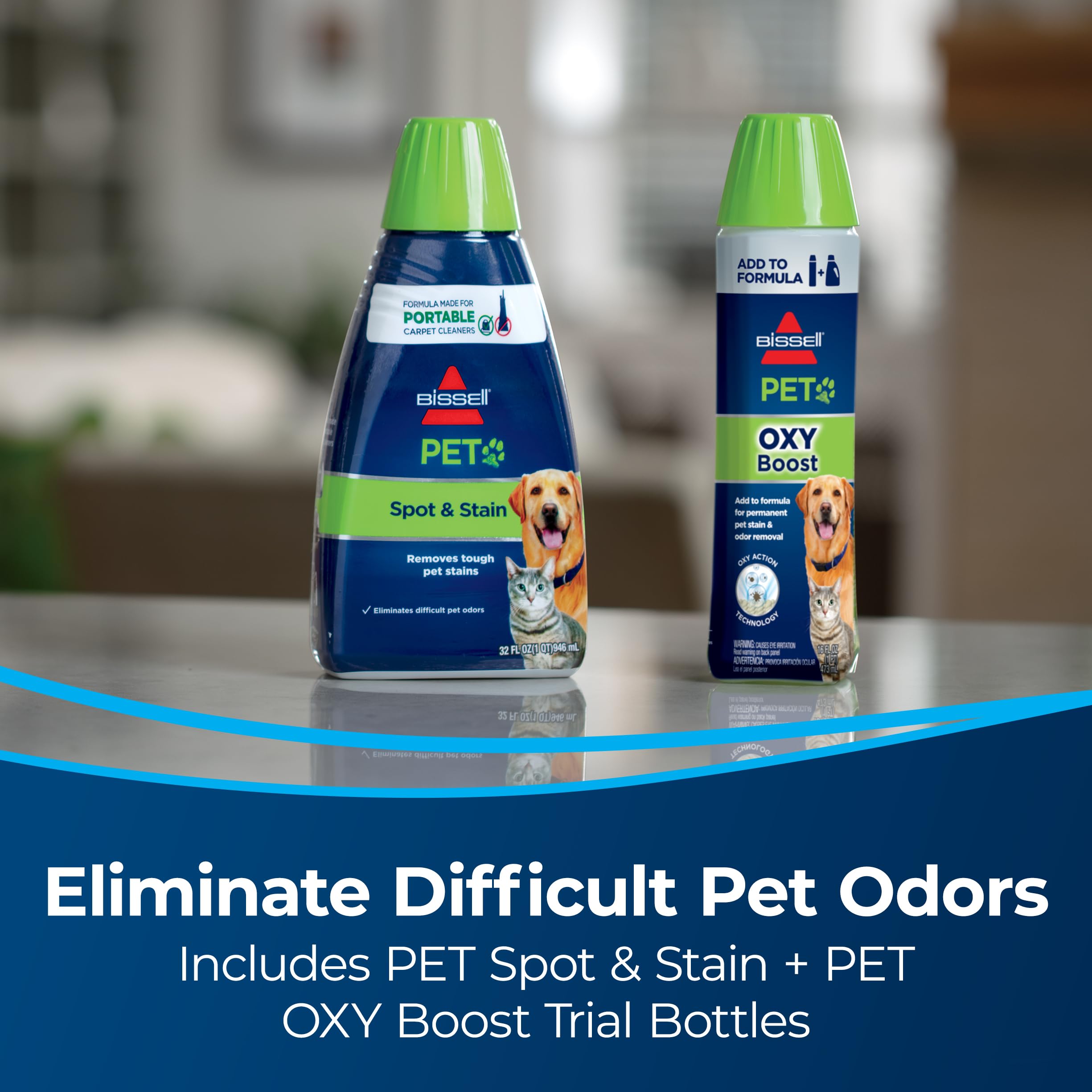 Bissell Little Green Pet Deluxe Portable Carpet Cleaner And Car/Auto Detailer, 3353, Gray/Blue