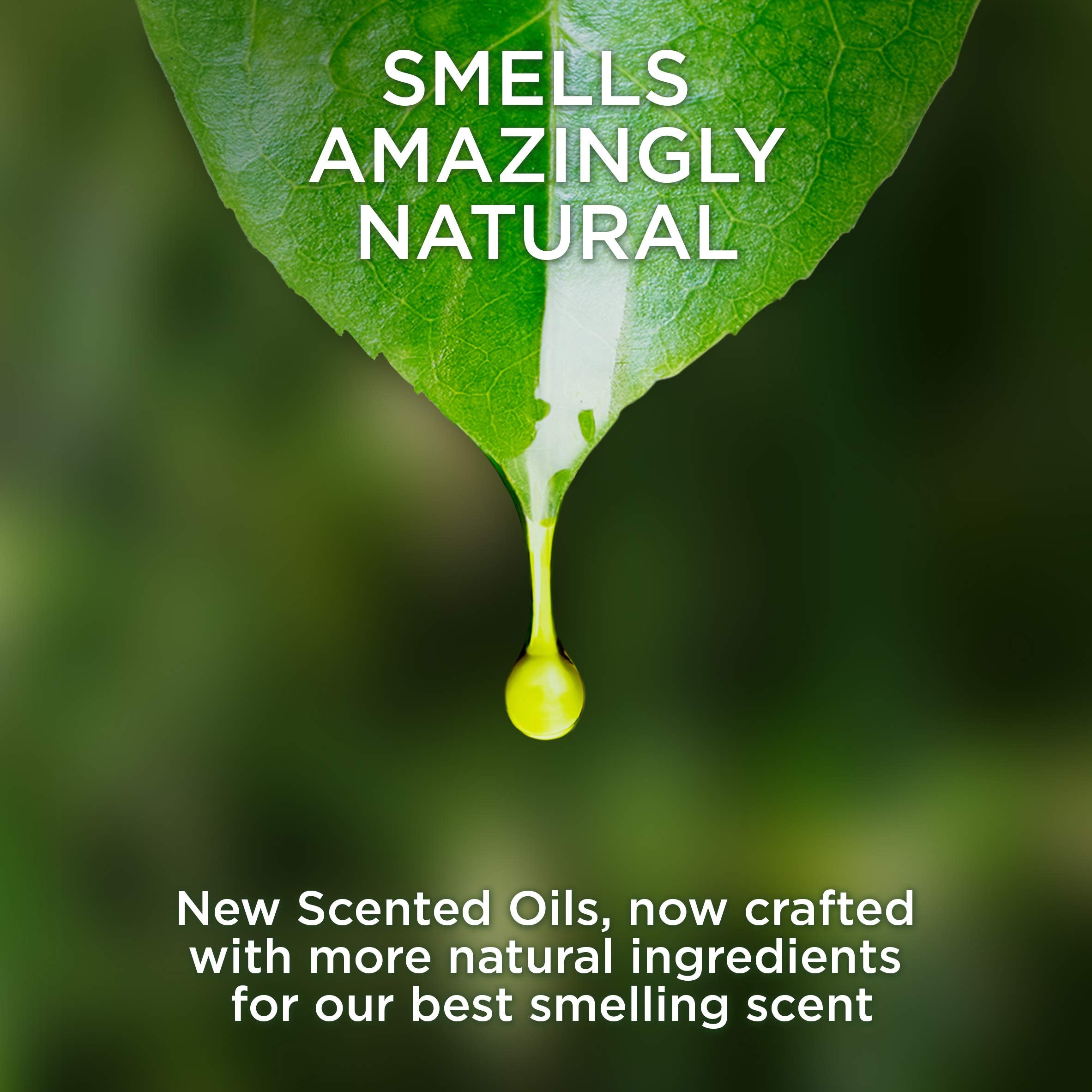 Air Wick Scented Oil 3 Refills, Hawaii Tropical Sunset, Air Freshener, 0.67 Oz, Pack Of 3