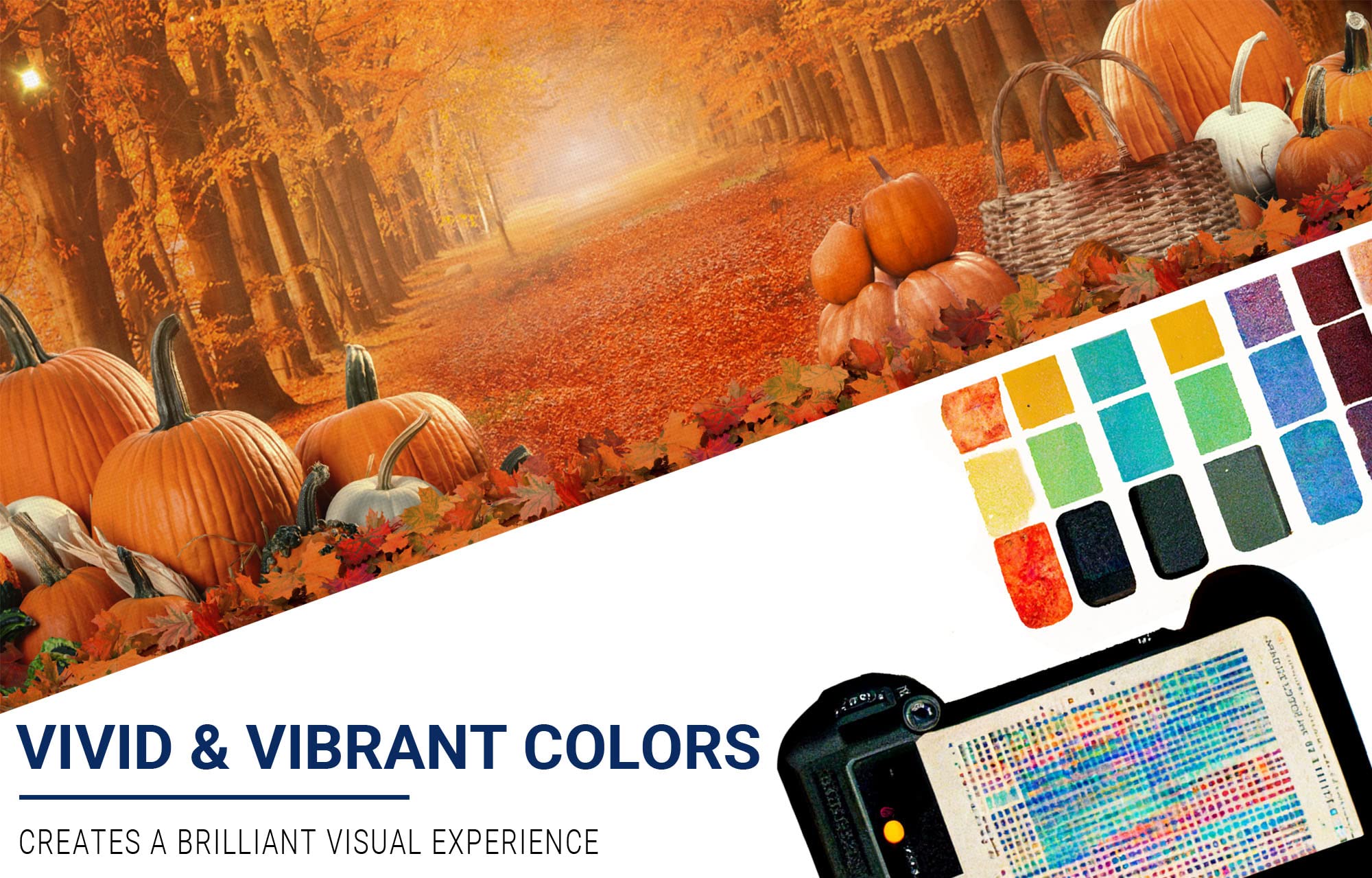 Allenjoy 10 X 8 Ft Fall Photography Backdrop Thanksgiving Party Supplies Autumn Pumpkin Friendsgiving Background Decor Photo Boo