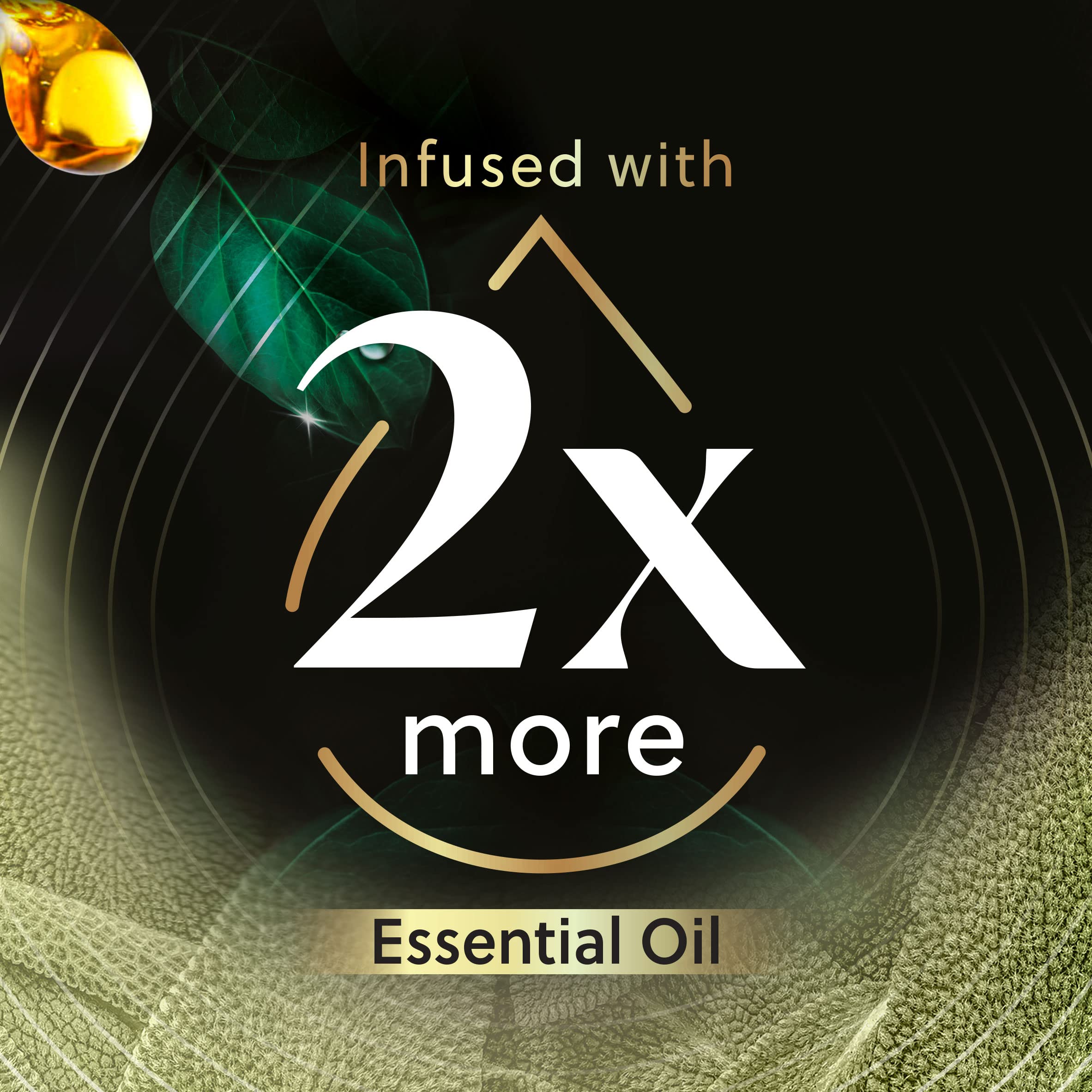 Air Wick Plug In Scented Oil Refill, 5Ct, White Sage & Mahogany, Air Freshener, Essential Oils