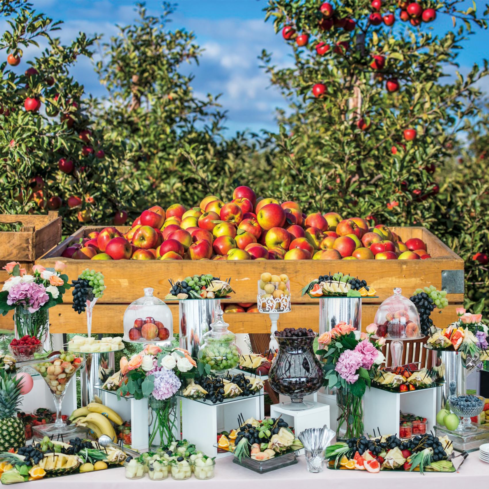 Baocicco 5X3Ft Autumn Orchard Farmland Backdrop Apples Wooden Container Apple Tree Photography Background Autumn Harvest Thanksg