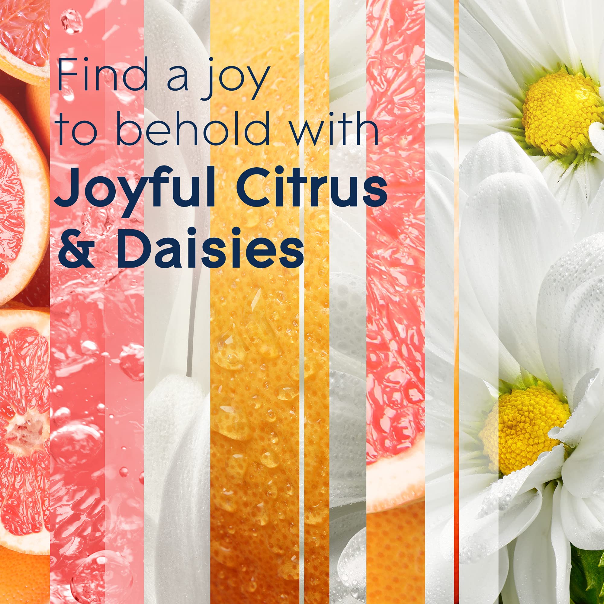 Glade Plugins Refills Air Freshener Starter Kit, Scented And Essential Oils For Home And Bathroom, Joyful Citrus & Daisies 4.02