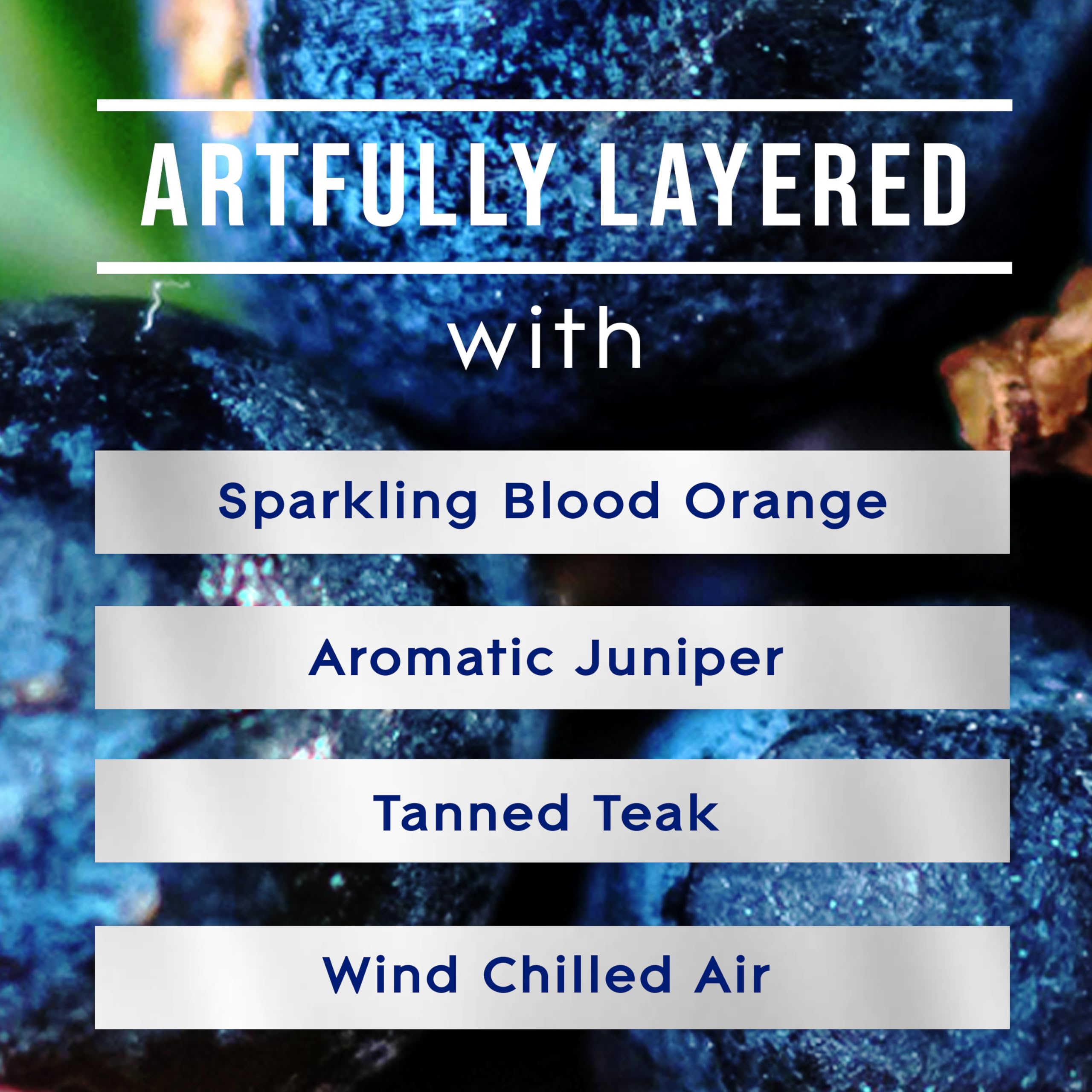 Glade Plugins Refills Air Freshener, Scented And Essential Oils For Home And Bathroom, Juniper & Teak, Fresh Collection 3.35 Fl