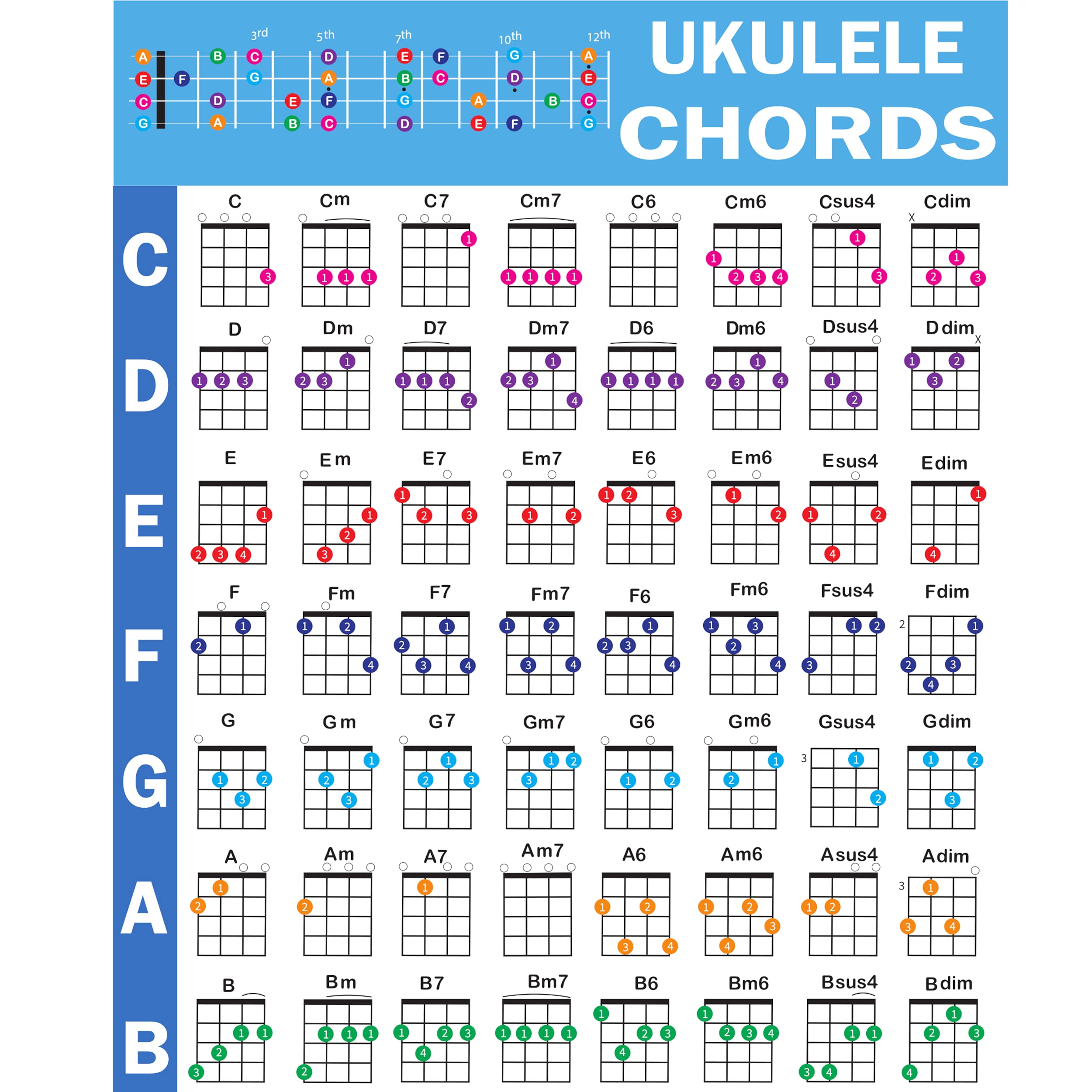 Ukulele Chords Poster, An Educational Reference Guide For Ukulele Players And Teachers, Printed On Waterproof, Non Tearing, Poly
