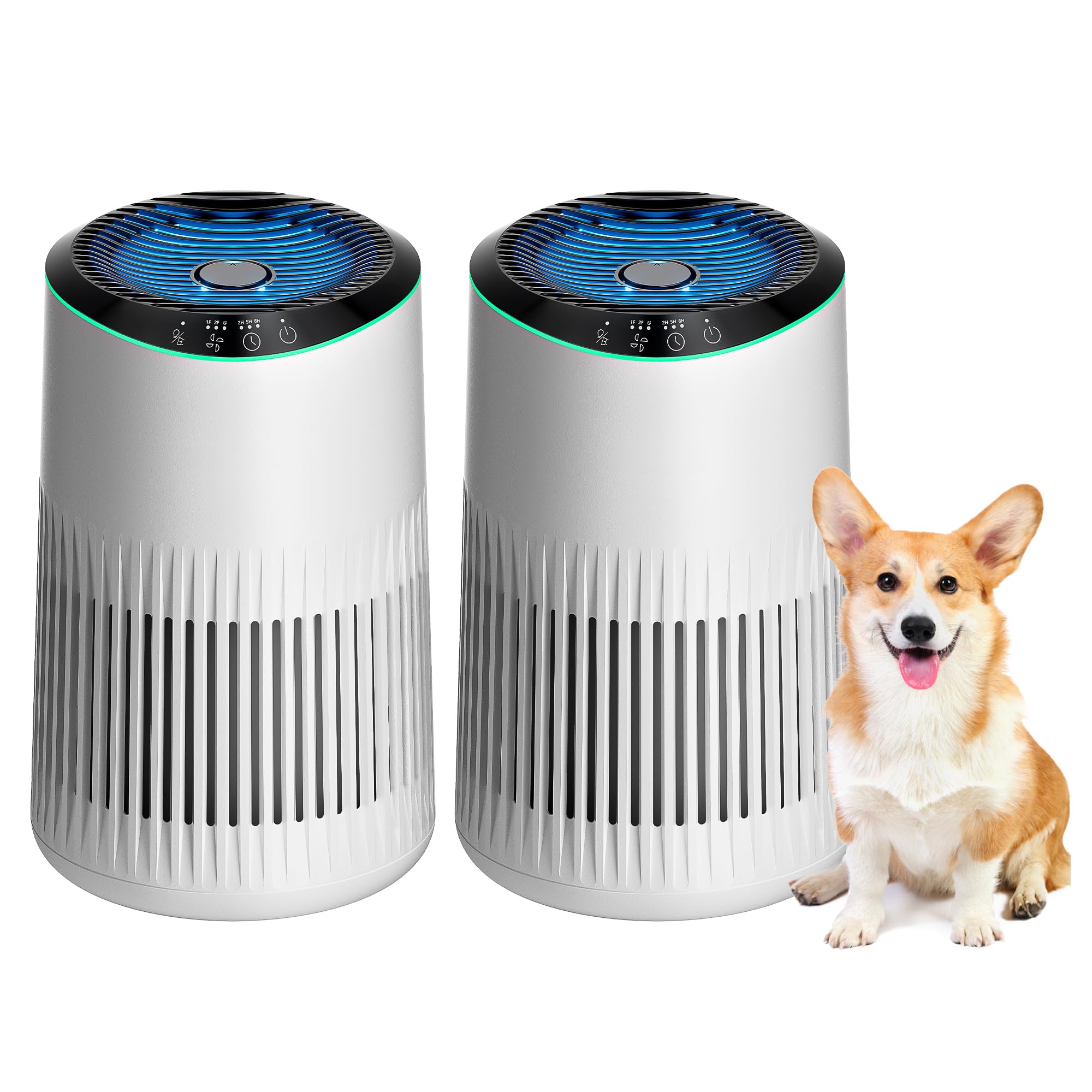 MERONTE Air Purifier for Bedroom Home with Sleep Mode for Smoke Pet Dander Odors, Small Air Purifier with Fragrance Sponge, Blue