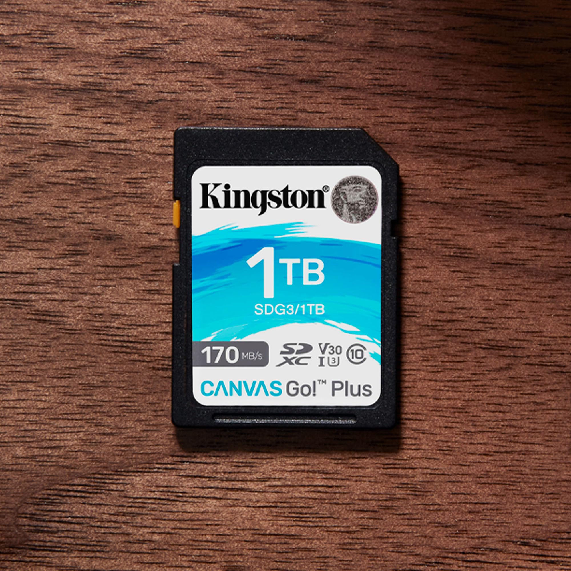 Kingston 1Tb Canvas Go Plus Microsdxc Card | Up To 170Mb/S | Class 10, Uhs I, U3, V30, A2 | Sdcg3/1Tb