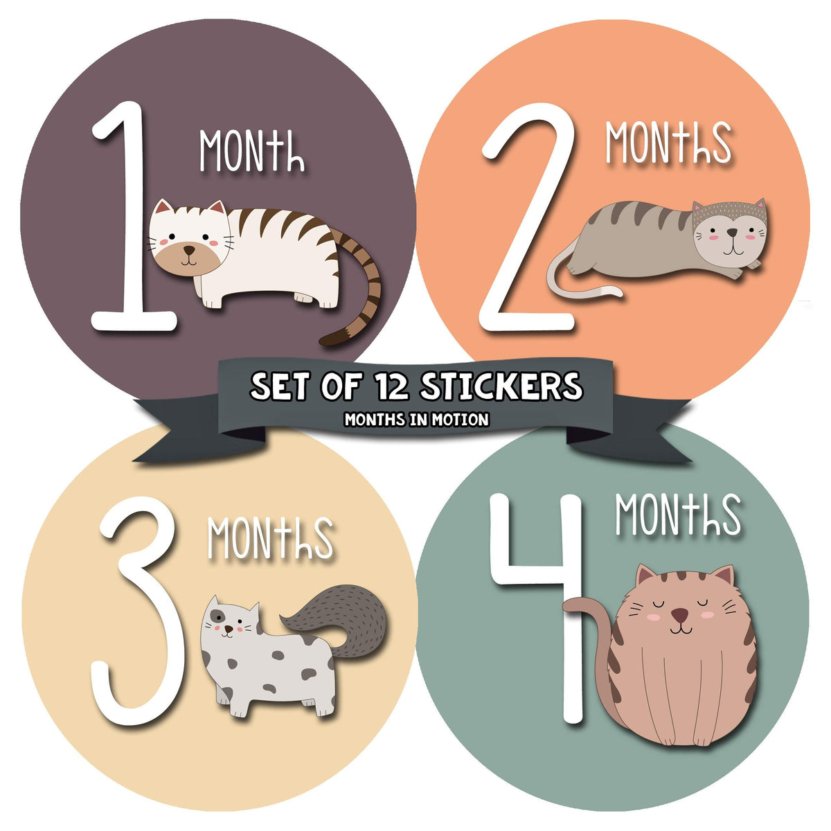 6 Month Sticker Months In Motion Baby Monthly Stickers Baby Milestone Stickers Newborn ...
