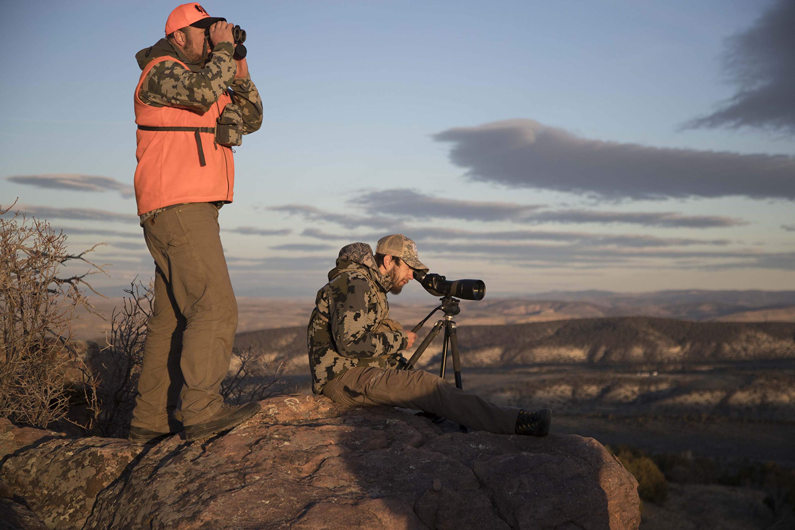 Burris Optics Signature High Definition, Fast Focus Binoculars 10X42, Flat Dark Earth (300293)