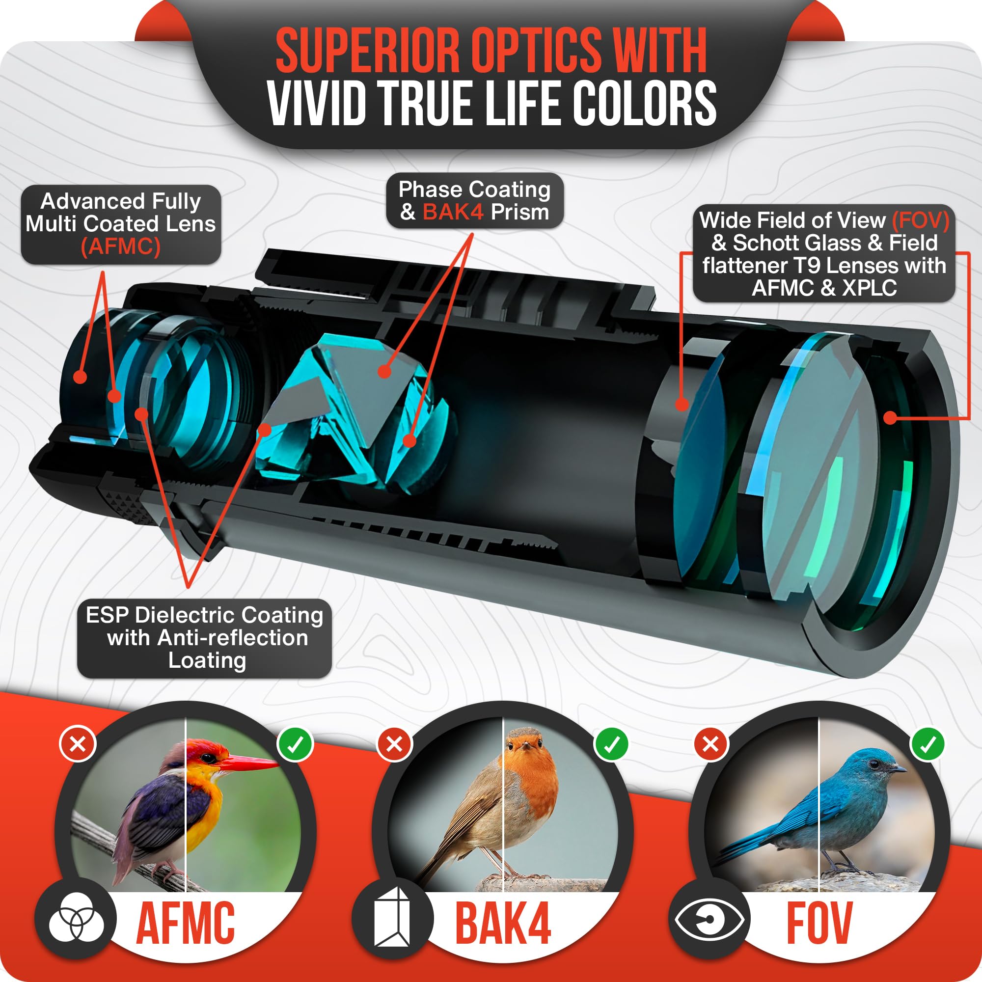 Binoculars For Bird Watching - High Powered Binocular For Adults - Birding Binoculars For Hunting 8X42