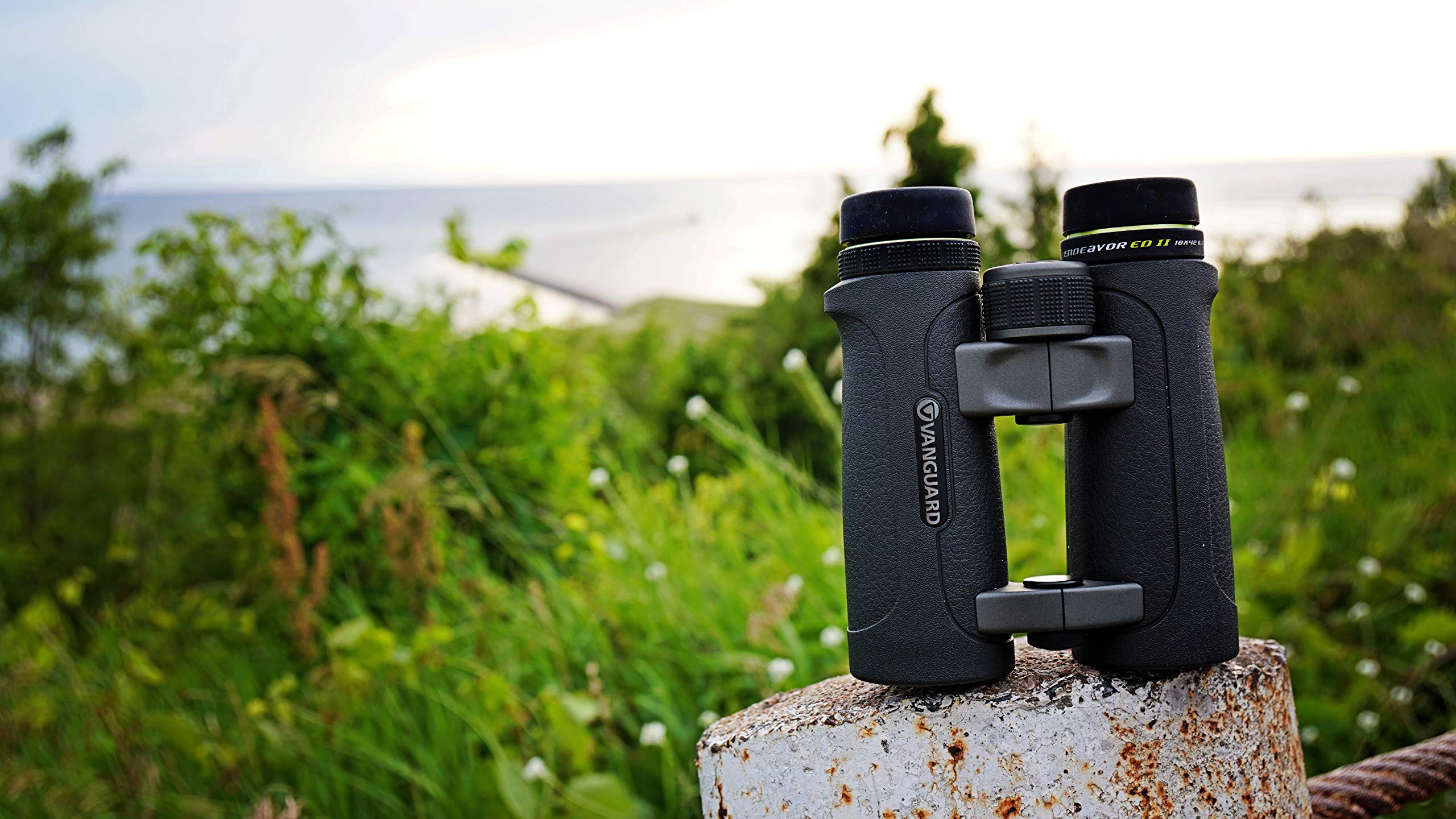 Vanguard Endeavor Ed Ii 10X42 Binocular With Premium Hoya Ed Glass, Waterproof/Fogproof, Black