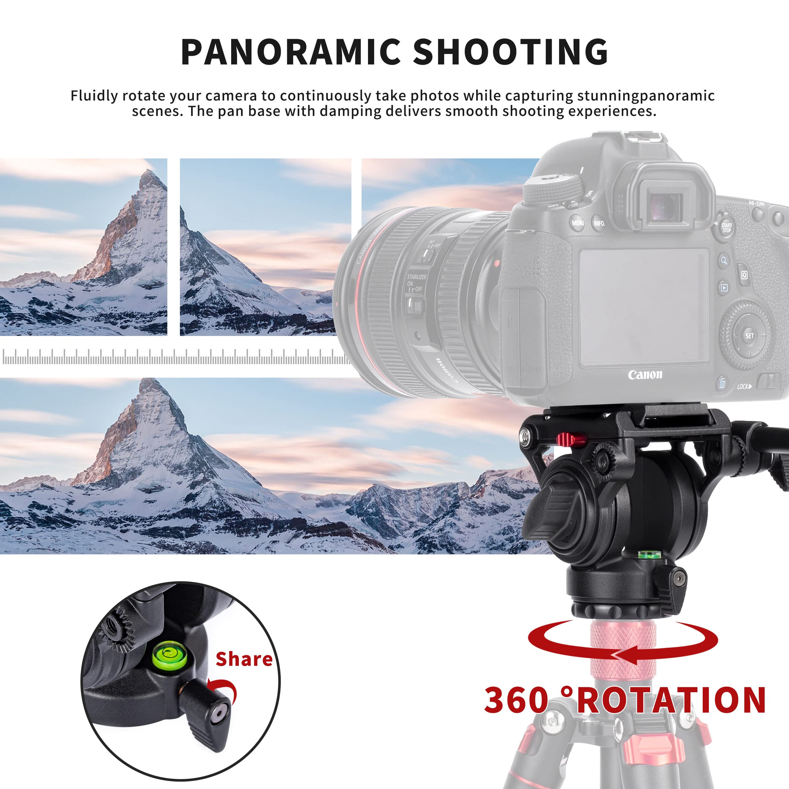 AVELLA Video Tripod with Fluid Head & Quick Release Plate, Lightweight, Max Load 13.2lb for Canon Nikon Sony DSLR Cameras, Model V504