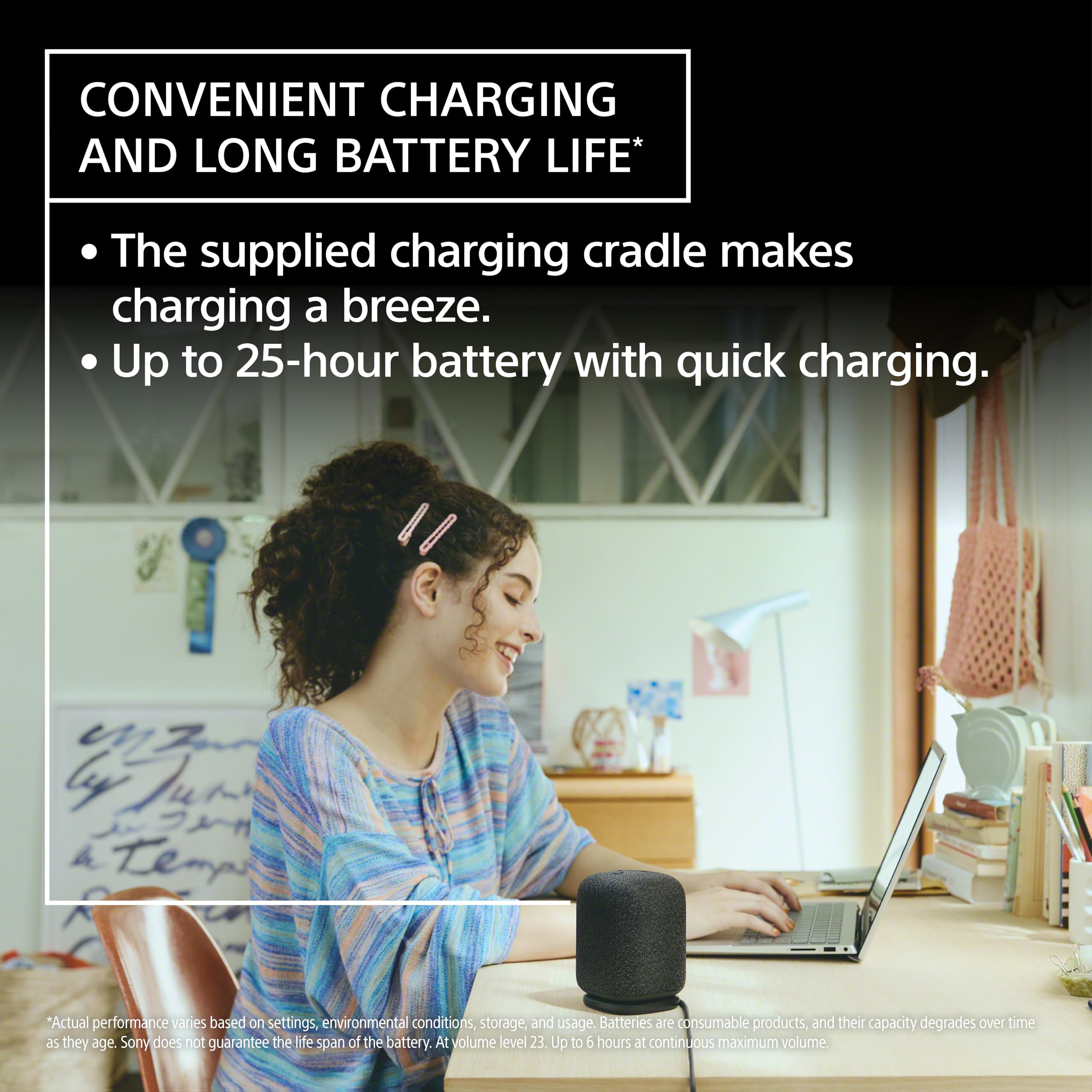 Sony Linkbuds Wireless Portable Bluetooth Speaker, Black