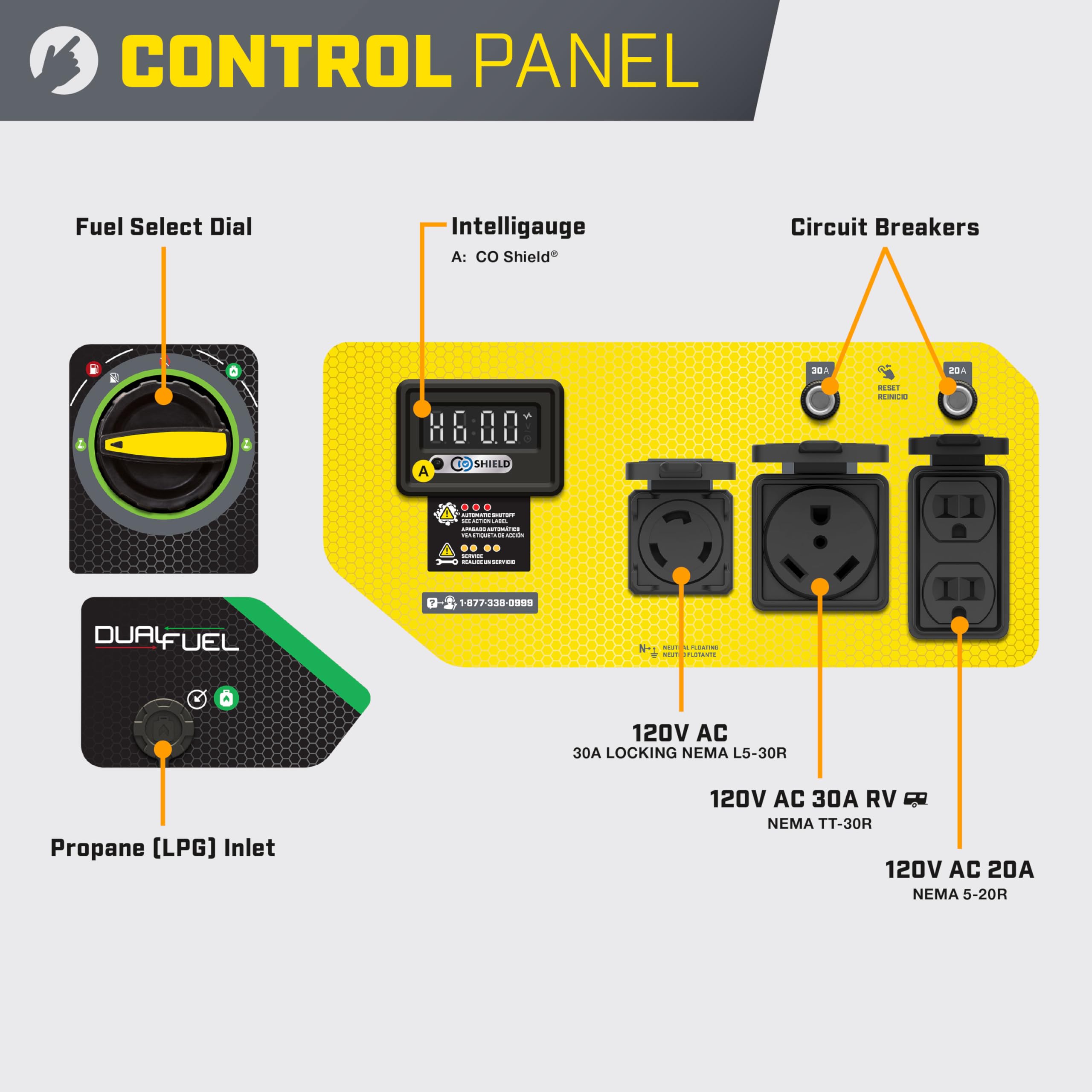 Champion Power Equipment 4375 Watt Dual Fuel Rv Ready Portable Generator With Co Shield