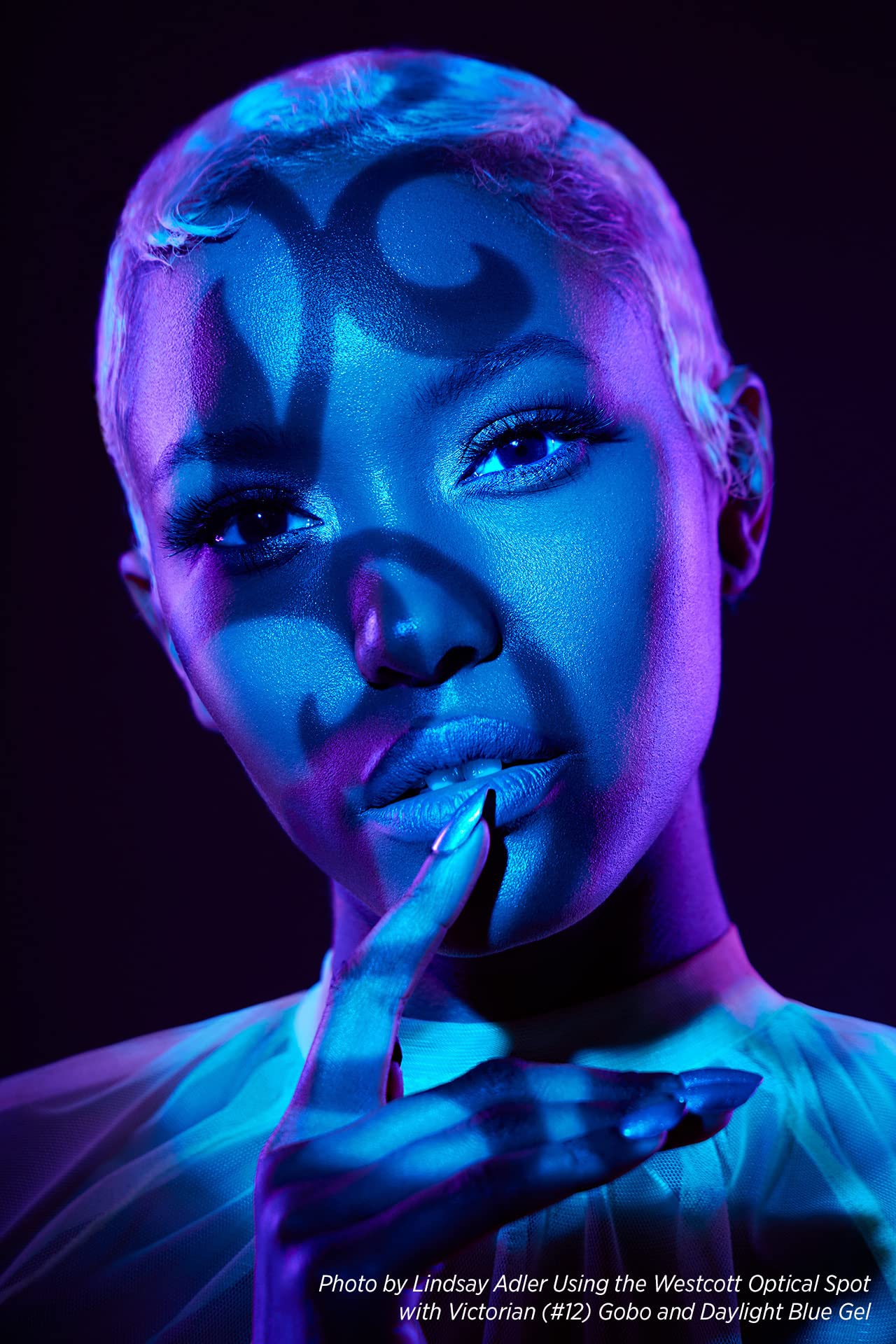 Westcott Gobo Pack: Pattern Designs (10 Pack) For Use With Optical Spot By Lindsay Adler