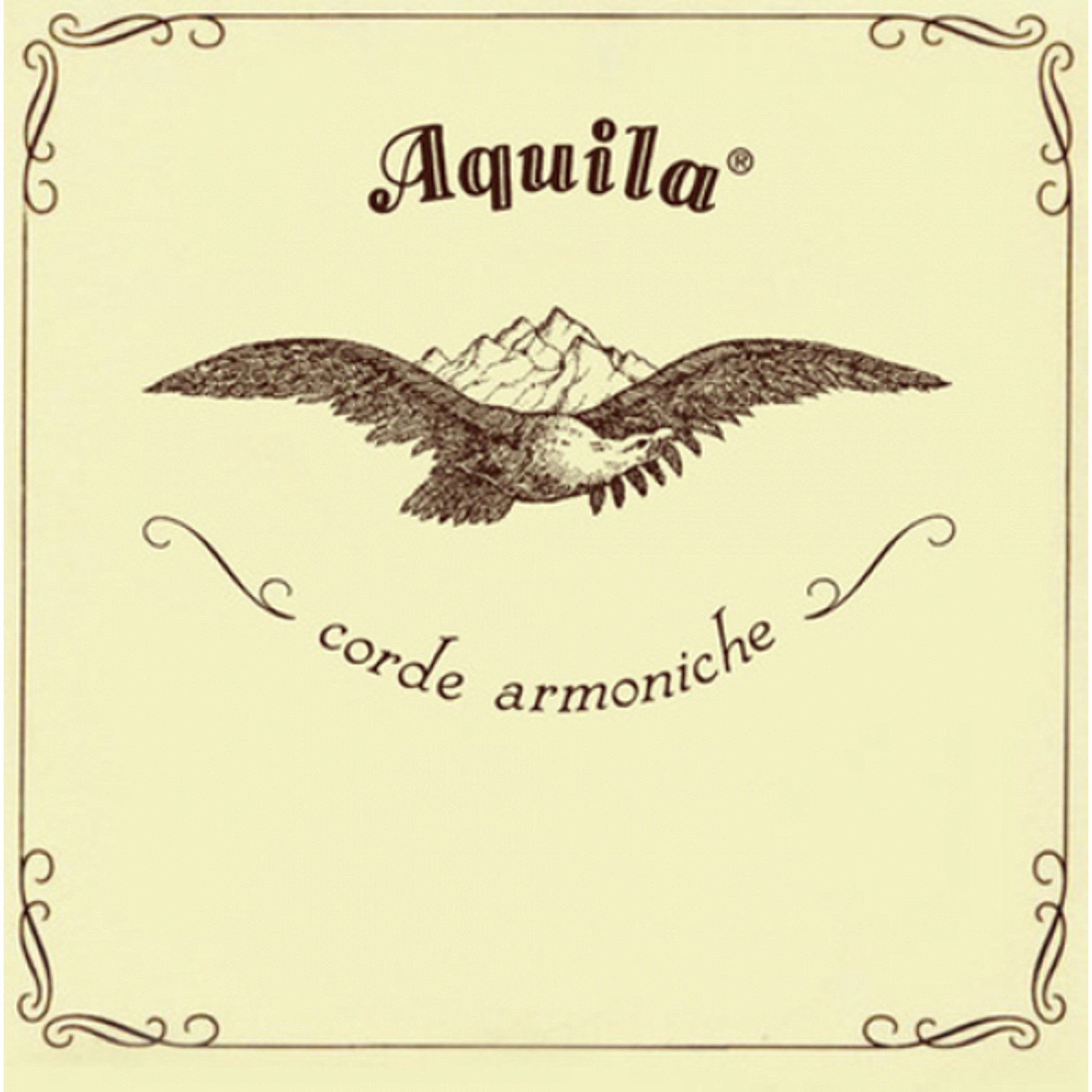 Aquila 55U Ukulele Concert Regular Tuning, Key Of C   Gcea (Alu Wound C String)