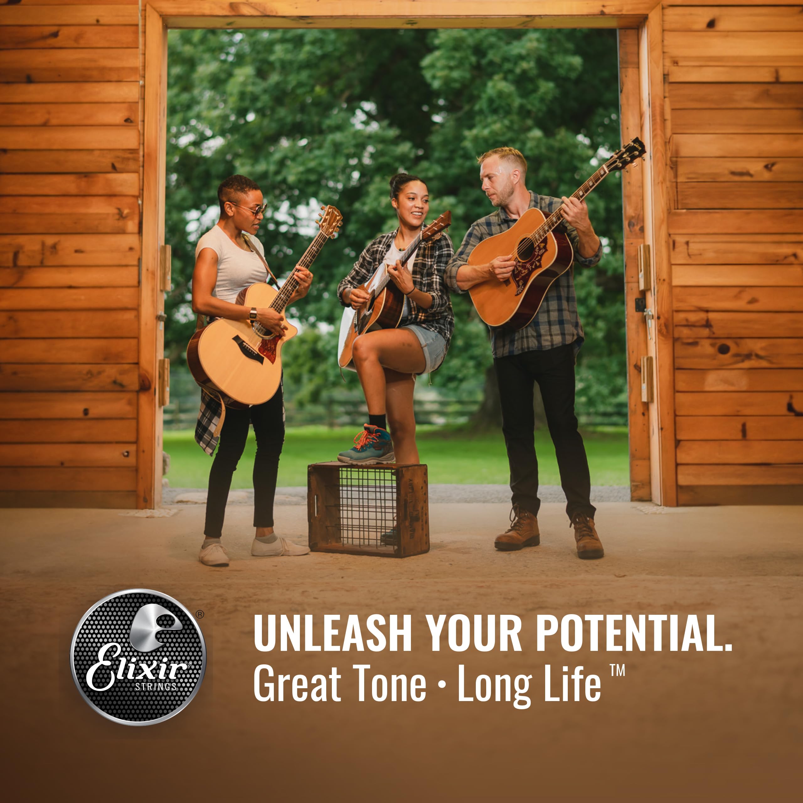 Elixir Strings, Acoustic Guitar Strings, 80/20 Bronze With Nanoweb Coating, Longest Lasting Bright And Focused Tone With Comfort