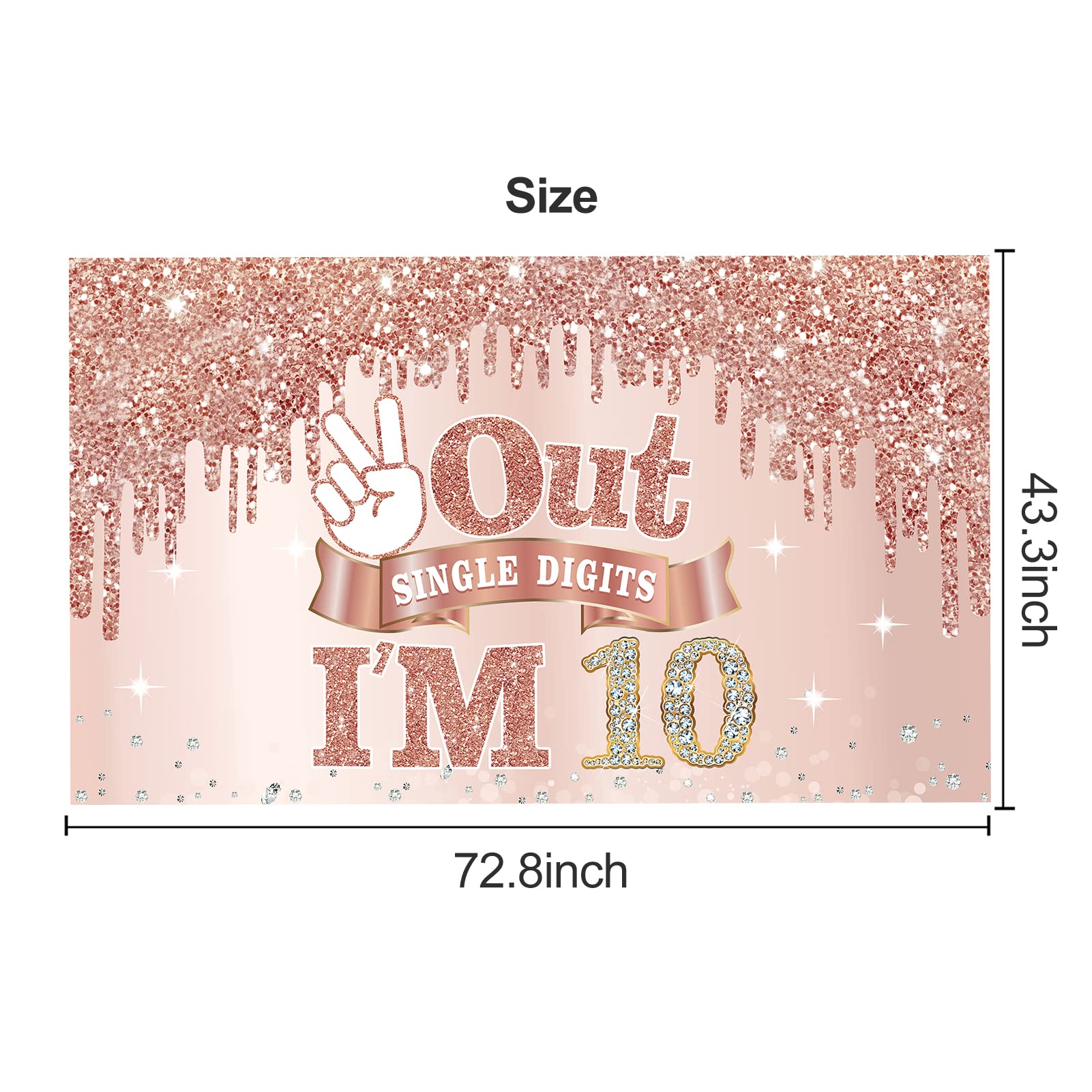 Large 10 Years Old Birthday Banner Decorations For Girls, Pink Rose Gold 10Th Birthday Backdrop Party Supplies, Out Single Digit