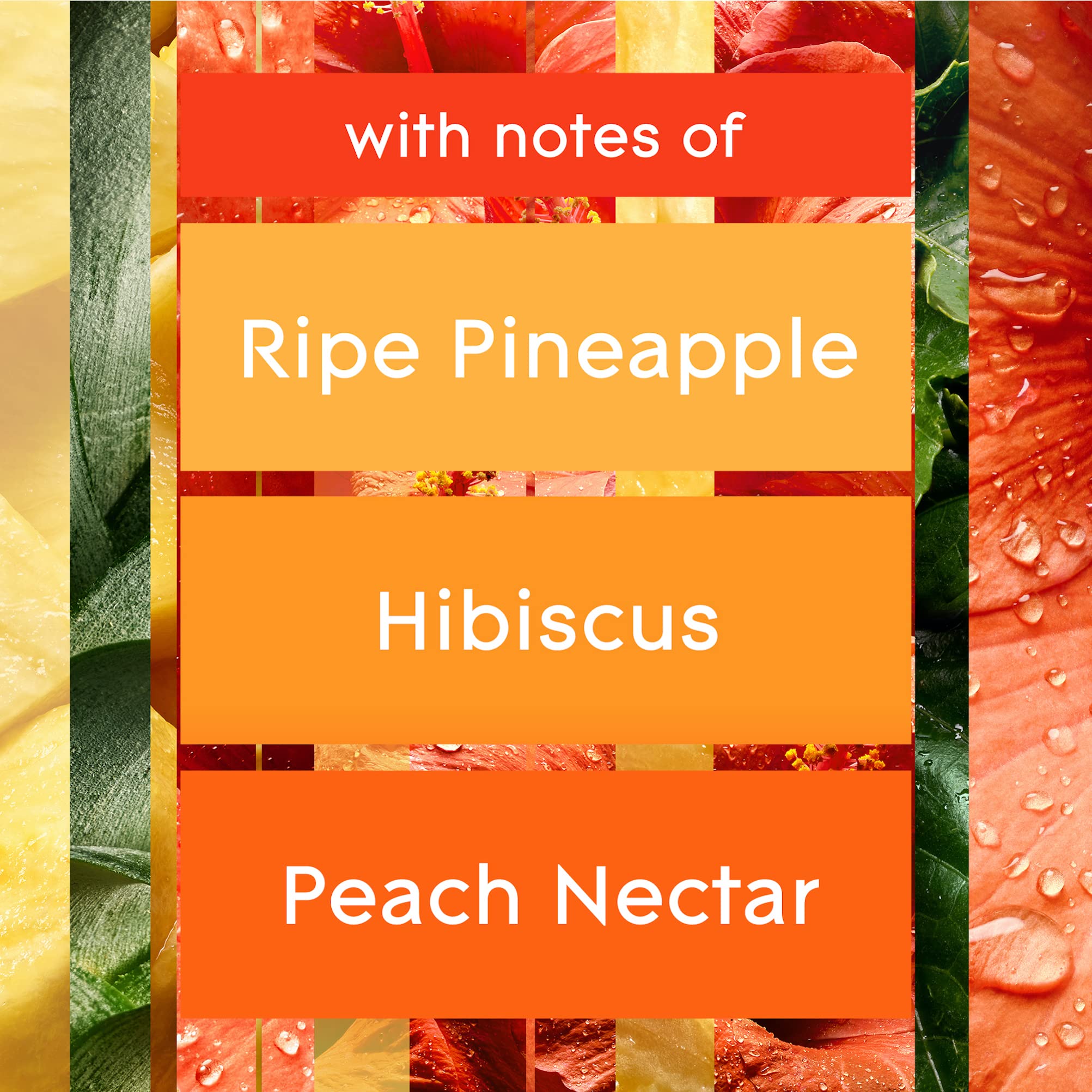 Glade Plugins Refills Air Freshener Starter Kit, Scented And Essential Oils For Home And Bathroom, Hawaiian Breeze 3.35 Fl Oz, 1