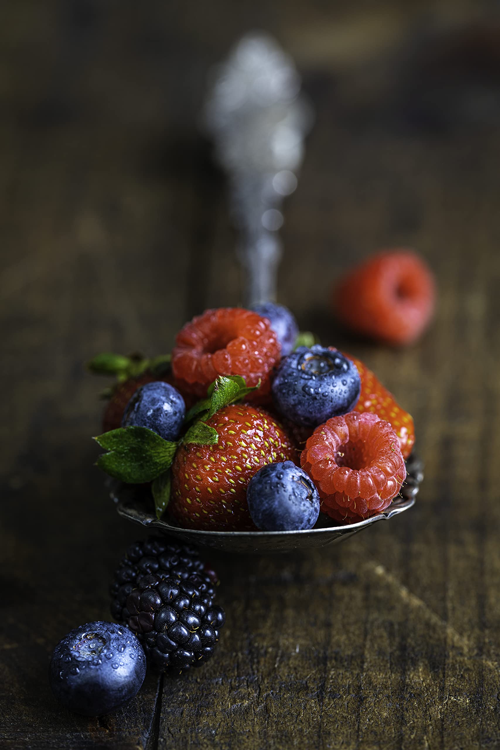 Nikon Nikkor Z Mc 105Mm F/2.8 Vr S