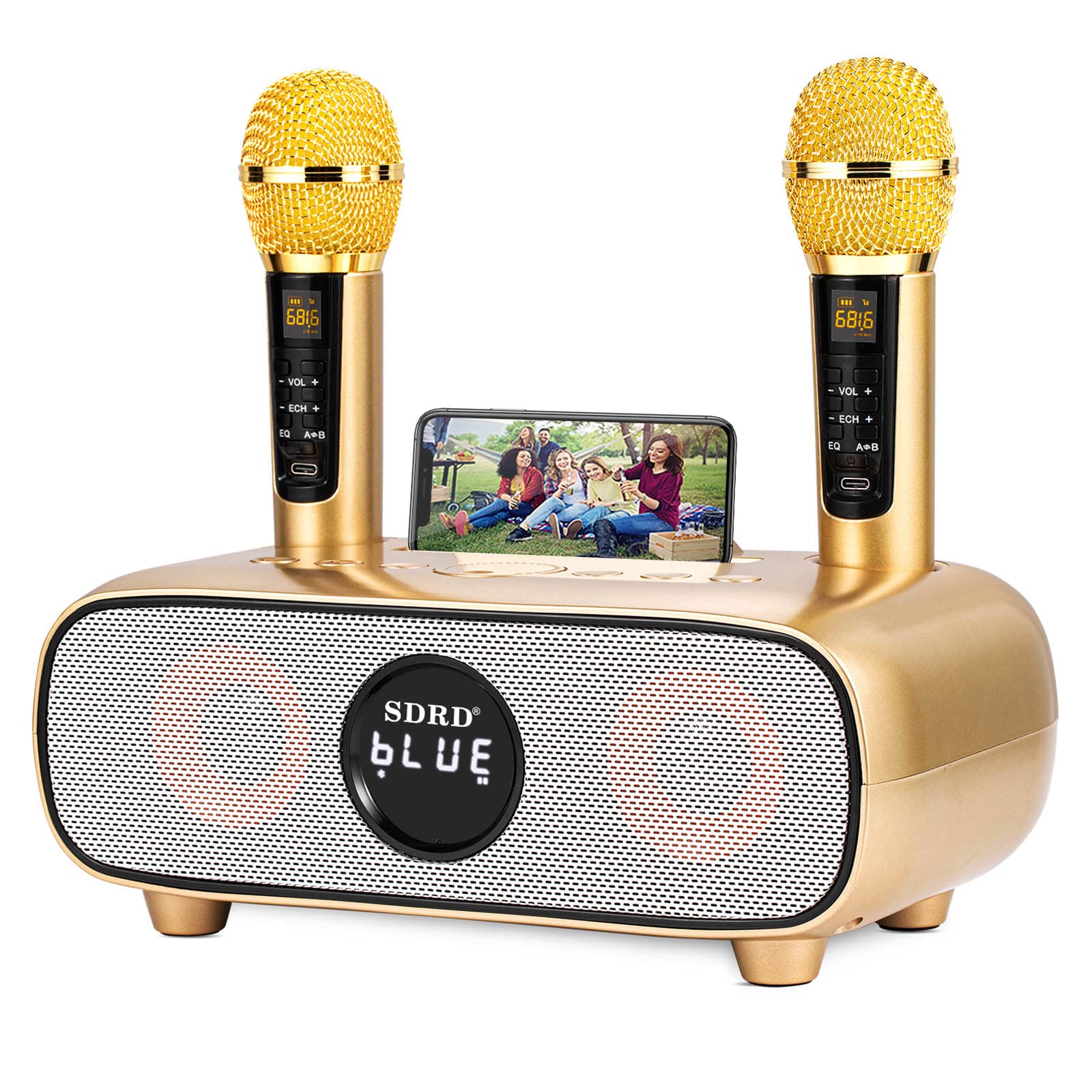 Karaoke Machine for Adults and Kids,Portable Bluetooth 2 Wireless Karaoke Microphone with Holder/USB/TF Card/AUX-in, PA Speaker 