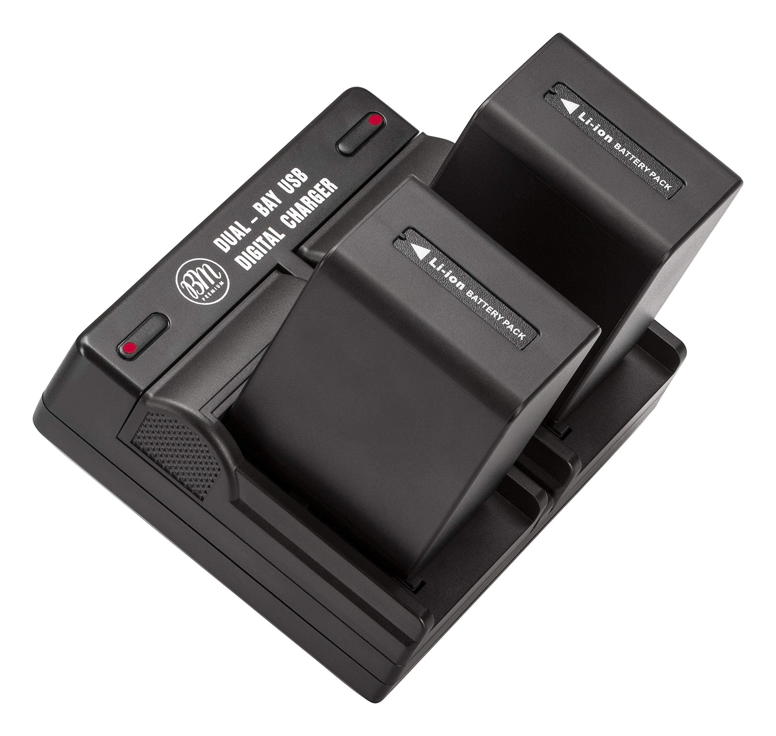 Bm Premium 2 Np Fv100A High Capacity Batteries And Dual Bay Charger For Sony Fdr Ax30 Fdr Ax33 Ax53 Fdr Ax700 Fdr Ax100 Fdr Ax35