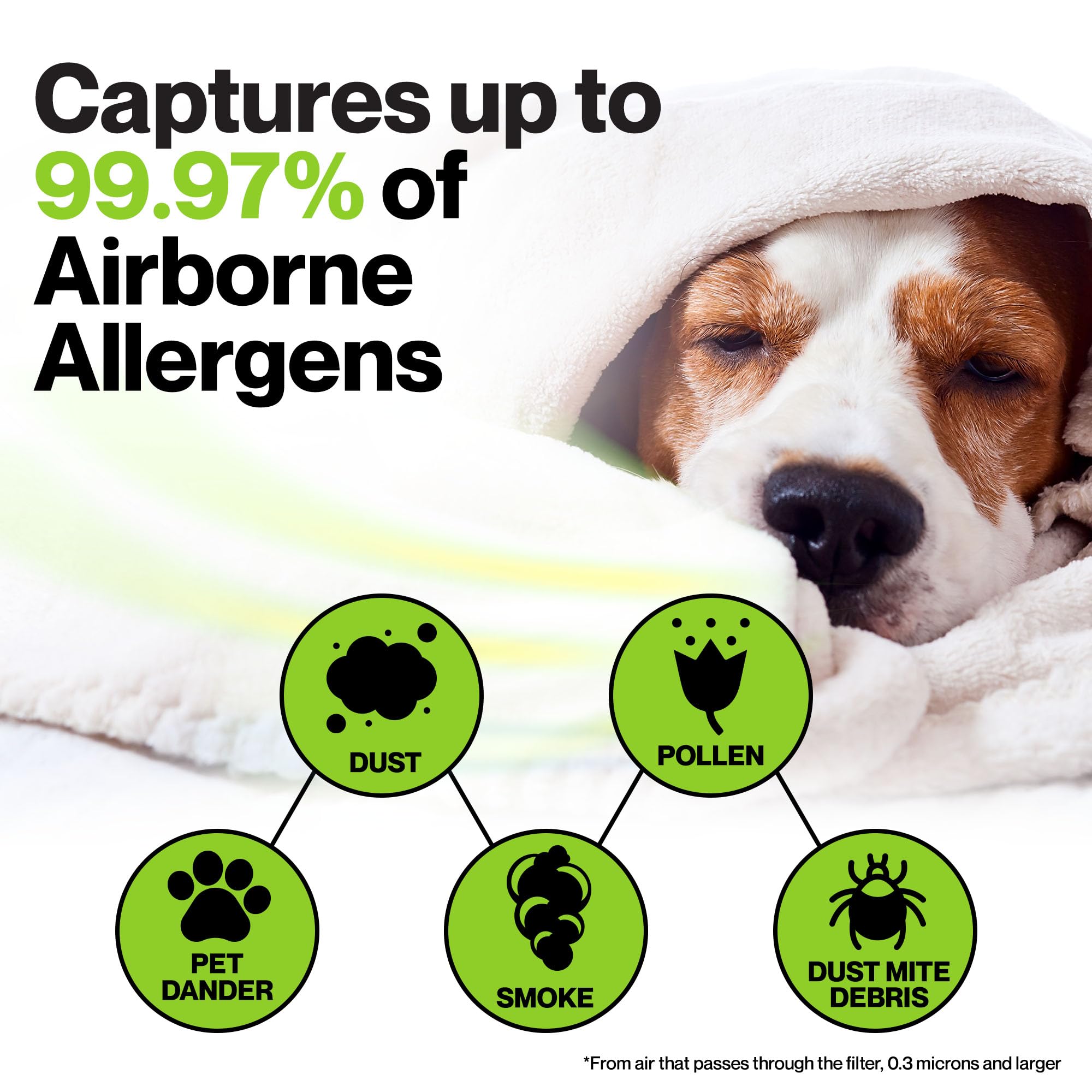 Durabasics 3 Pack Of Hepa Filters Compatible With Honeywell Air Purifier Replacement Filters, Honeywell Air Purifier Filters, Ho