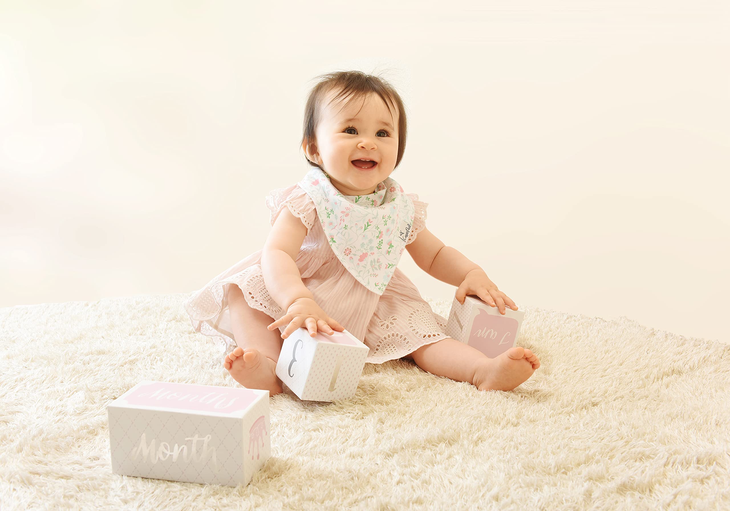 Baby Aspen My First Milestone Princess Age Blocks | Baby Picture Props For Photo Sharing The First Year