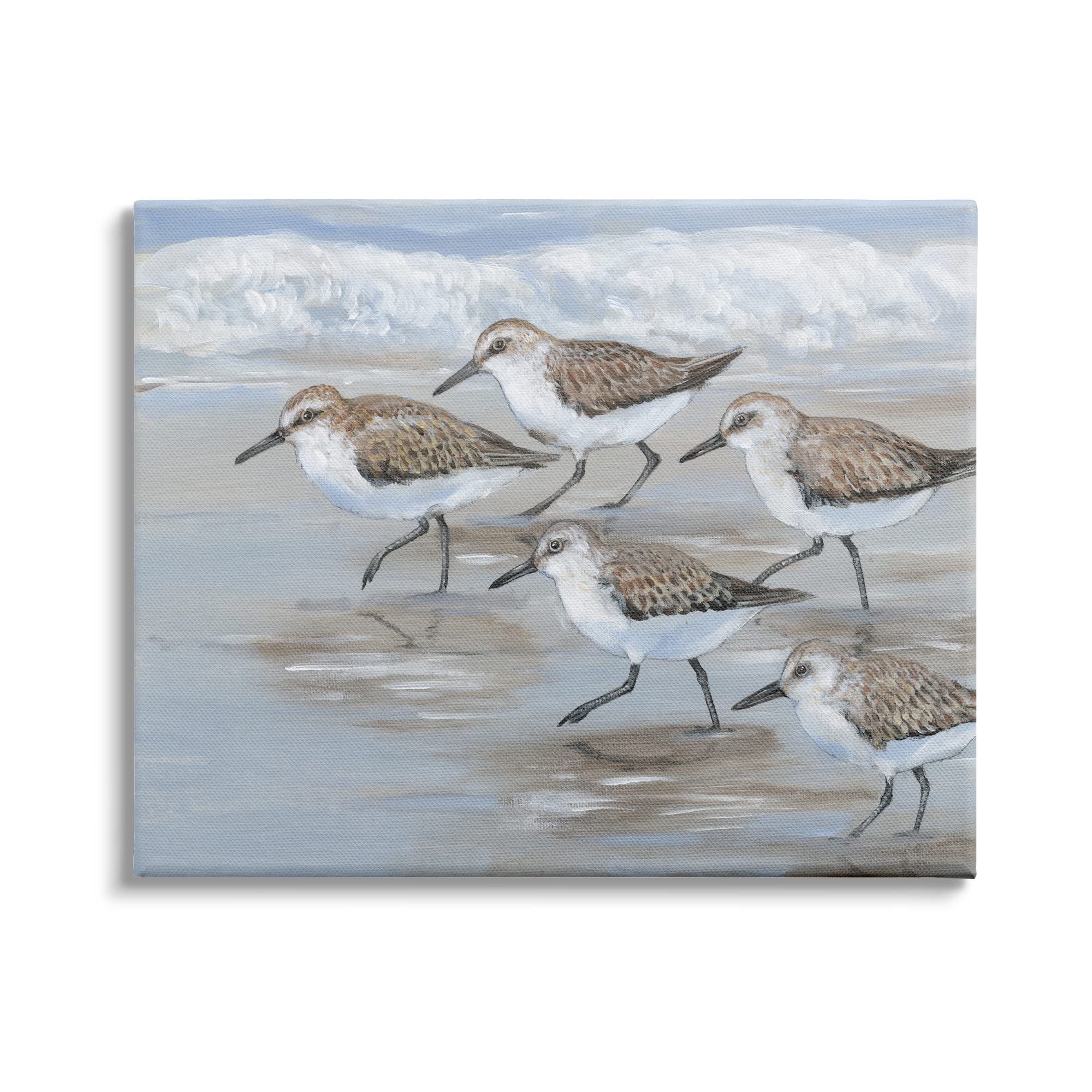 Stupell Industries Sandpiper Bird Flock Marching Beach Coast Waves Canvas Wall Art, 20 X 16, Tan