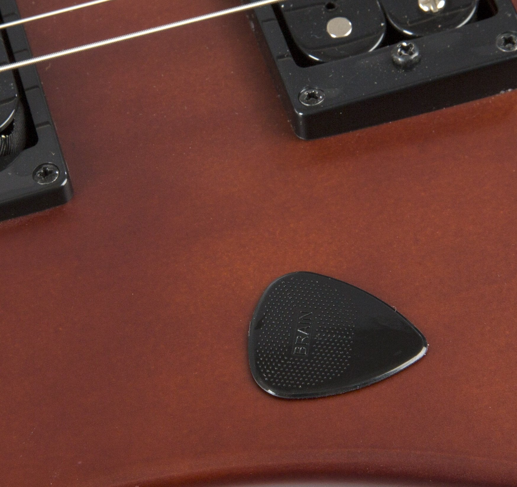 D'Andrea Snarling Dog Brain Nylon Guitar Picks 12 Pack With Tin Box (Black, 0.88Mm)