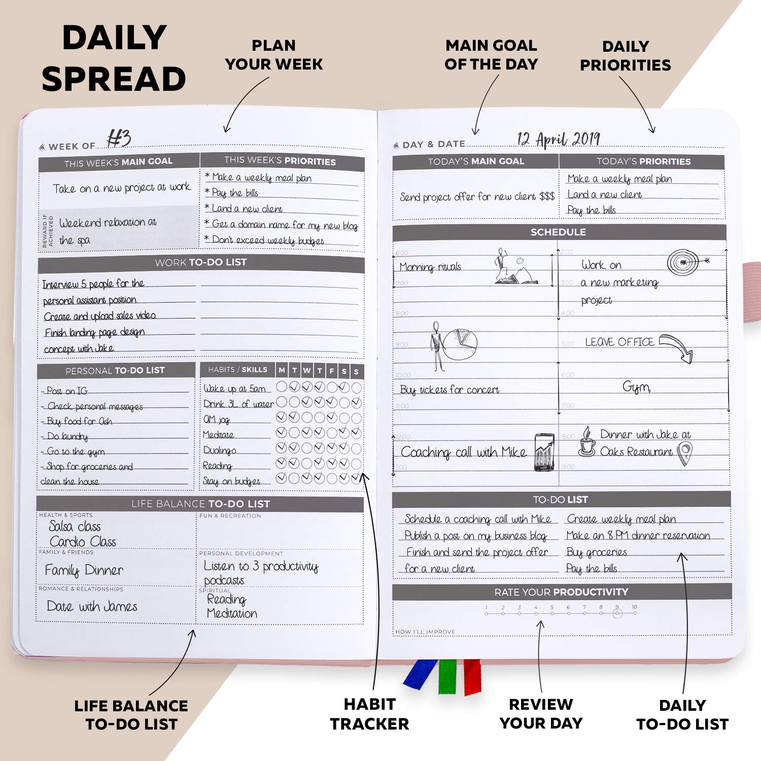 Clever Fox Planner Daily   Undated Agenda & Daily Calendar To Boost Productivity & Hit Your Goals   Gratitude Journal Personal D