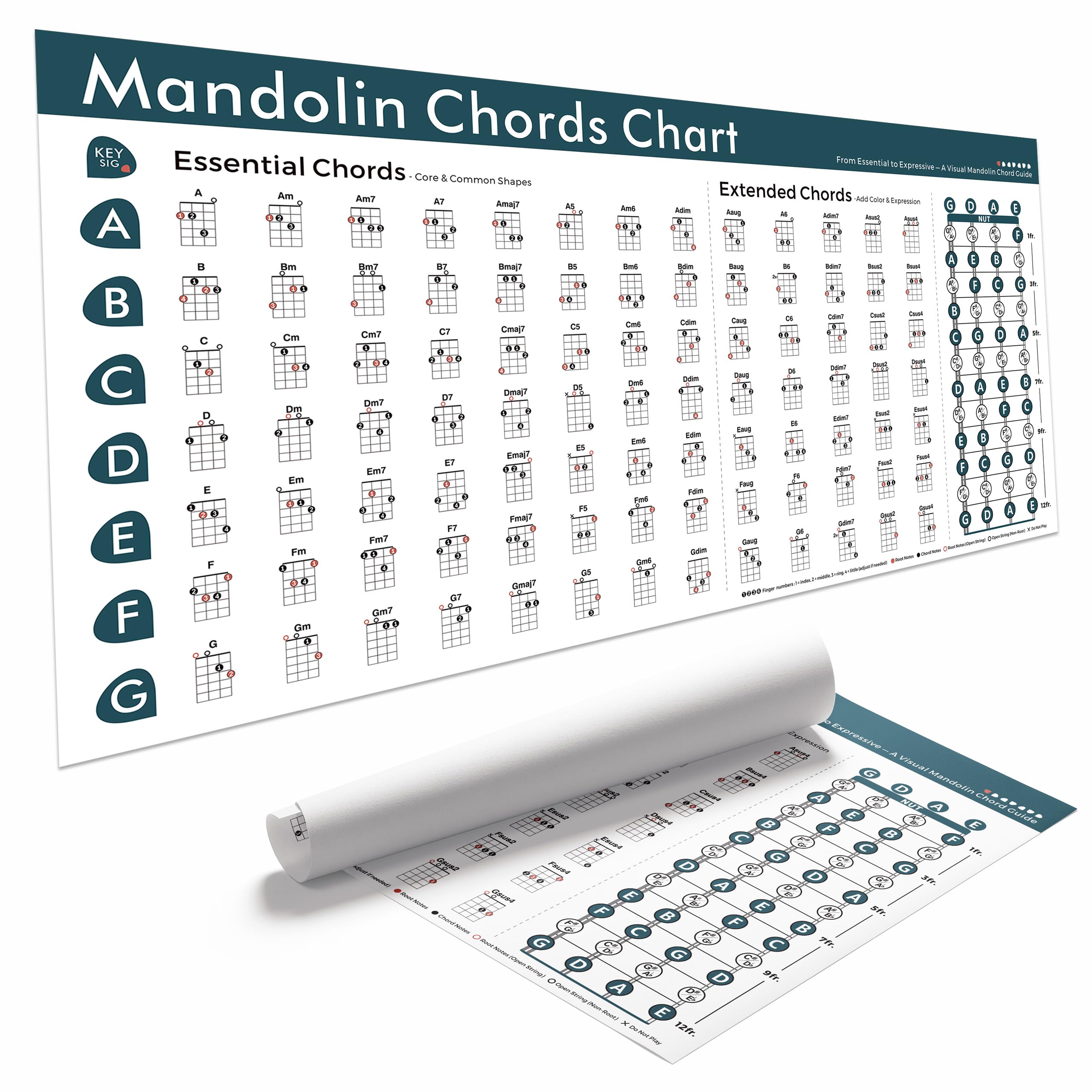 Mandolin Chords Chart Poster, Essential & Extended Mandolin Chords Reference Guide with Finger Positions and Fretboard Notes - R
