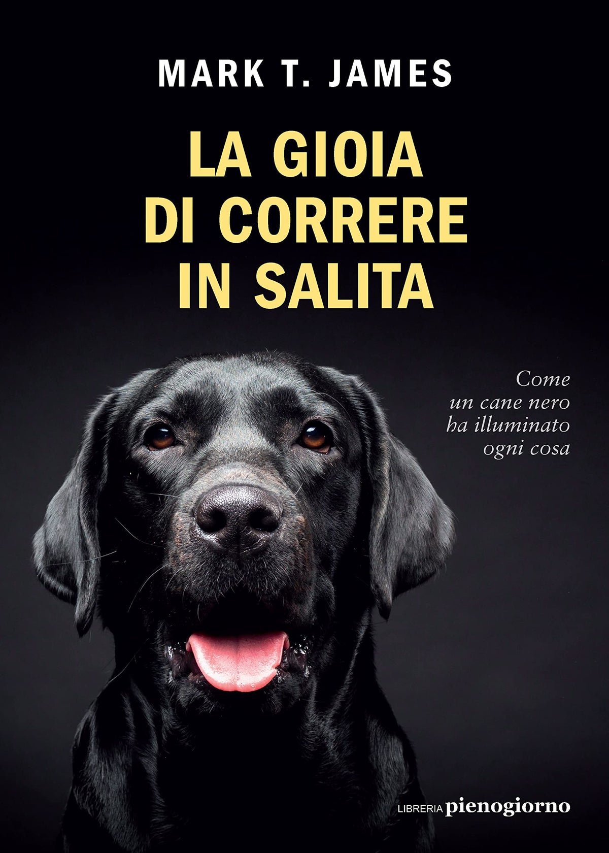 La Gioia Di Correre In Salita