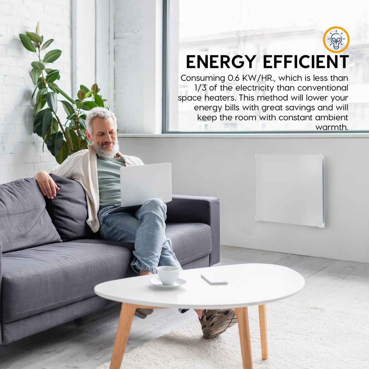 Econohome Wall Mount Space Heater Panel With Thermostat And Heat Guard ...