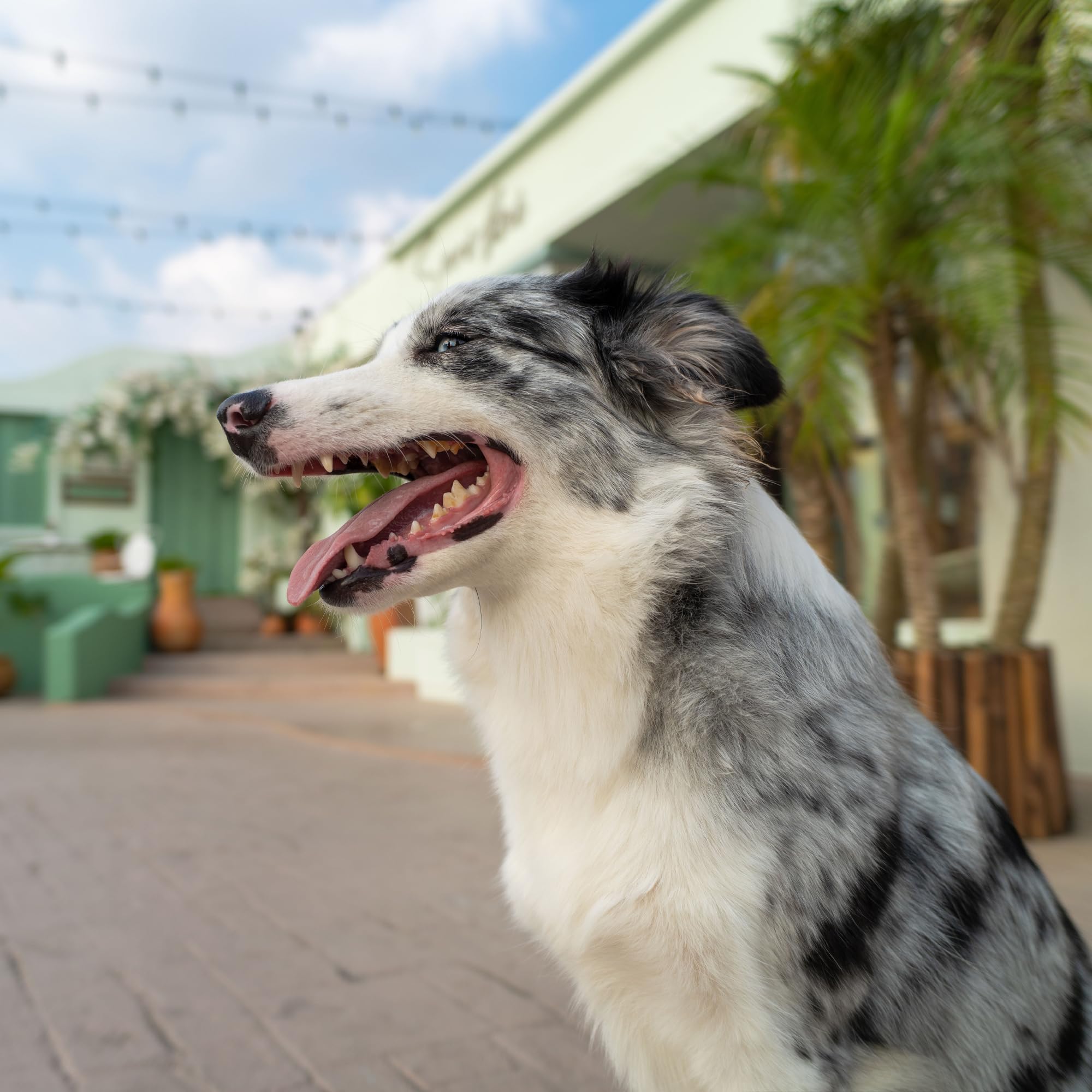 Viltrox E Mount Lens Af 20Mm F2.8 Full Frame Lens Autofocus For Sony Camera