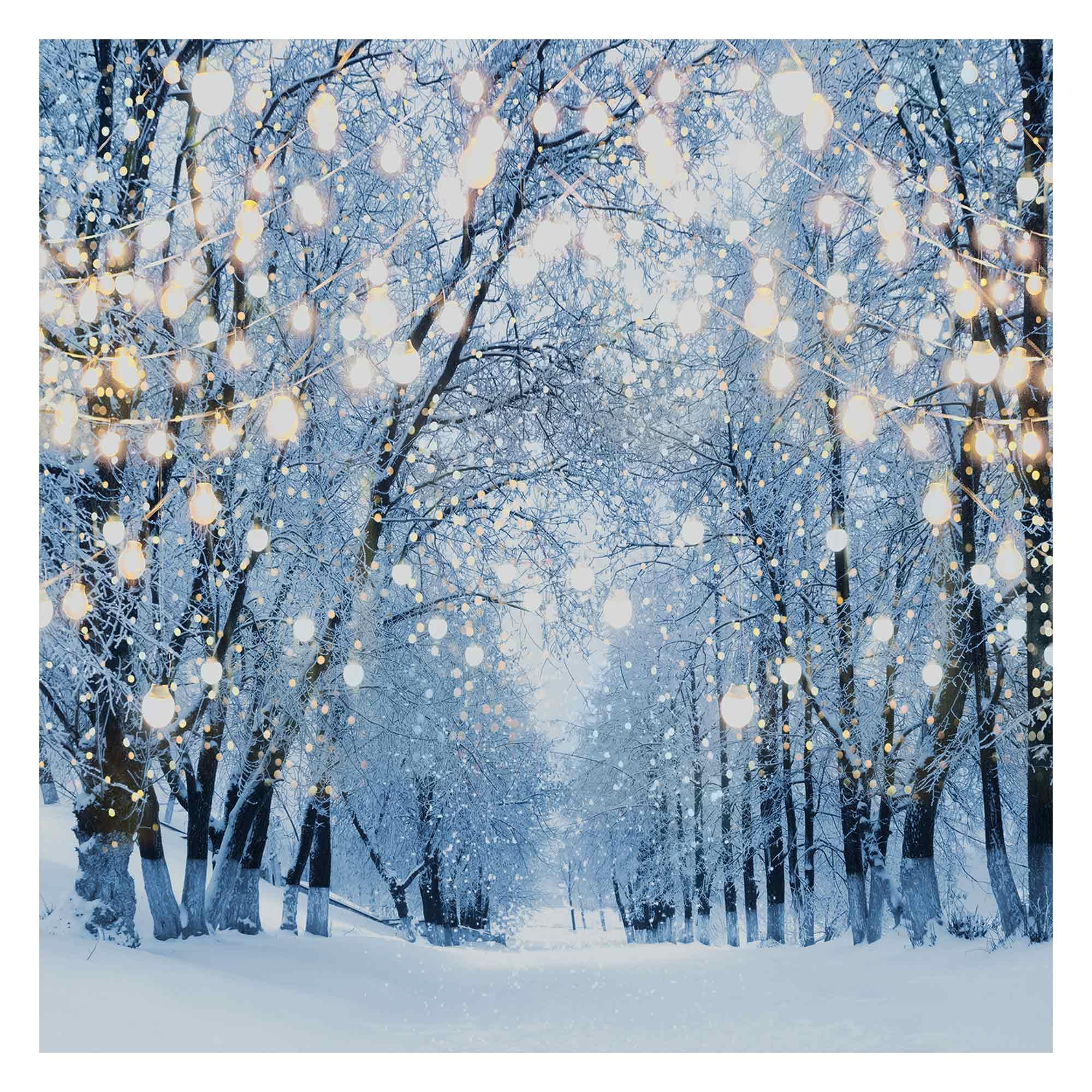 Allenjoy 6 X 6 Ft Winter Forest Backdrop Wonderland Snowflake Photography Background Bokeh Glitter Snow Scene Christmas Party De