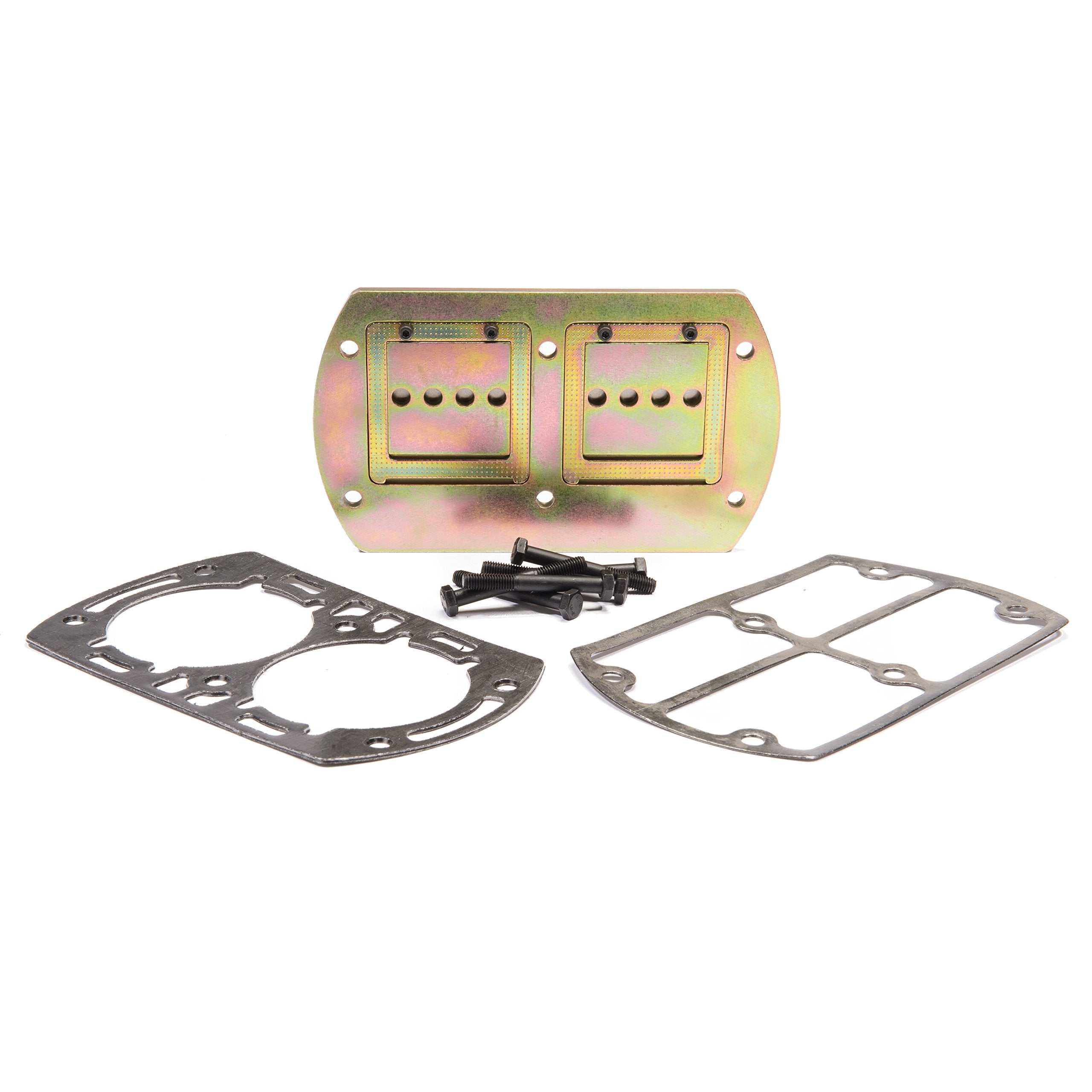 Ingersoll Rand Oem Valve & Gasket Kit For Ss5 Compressor (20100277)