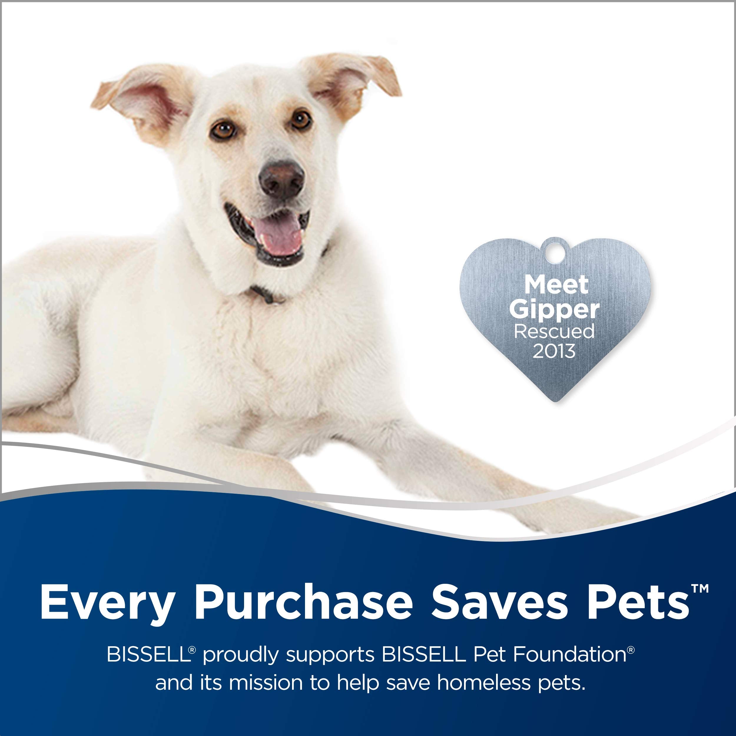 Bissell Spinwave Powered Hardwood Floor Mop And Cleaner, Green Spinwave, 2039A, 14'' Cleaning Path Width