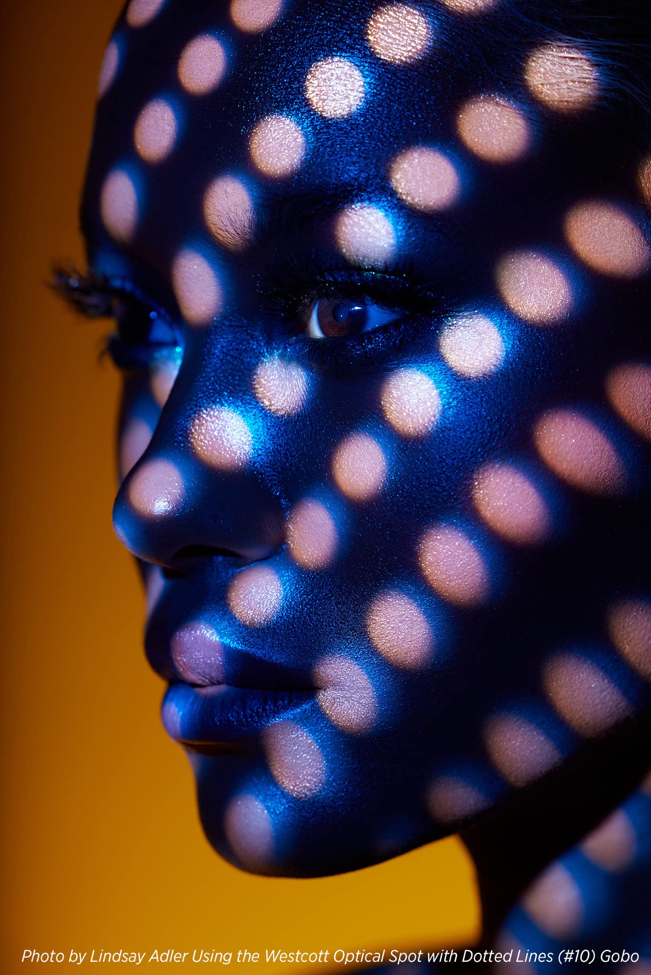 Westcott Gobo Pack: Pattern Designs (10 Pack) For Use With Optical Spot By Lindsay Adler